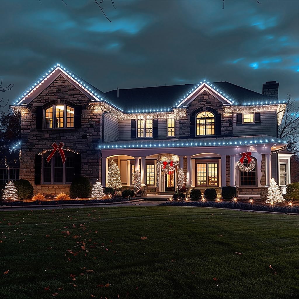 TW SHINE Christmas String Lights, 200 LED, 66 FT, Waterproof, 8 Modes, White, Model ZD-29V200DIF