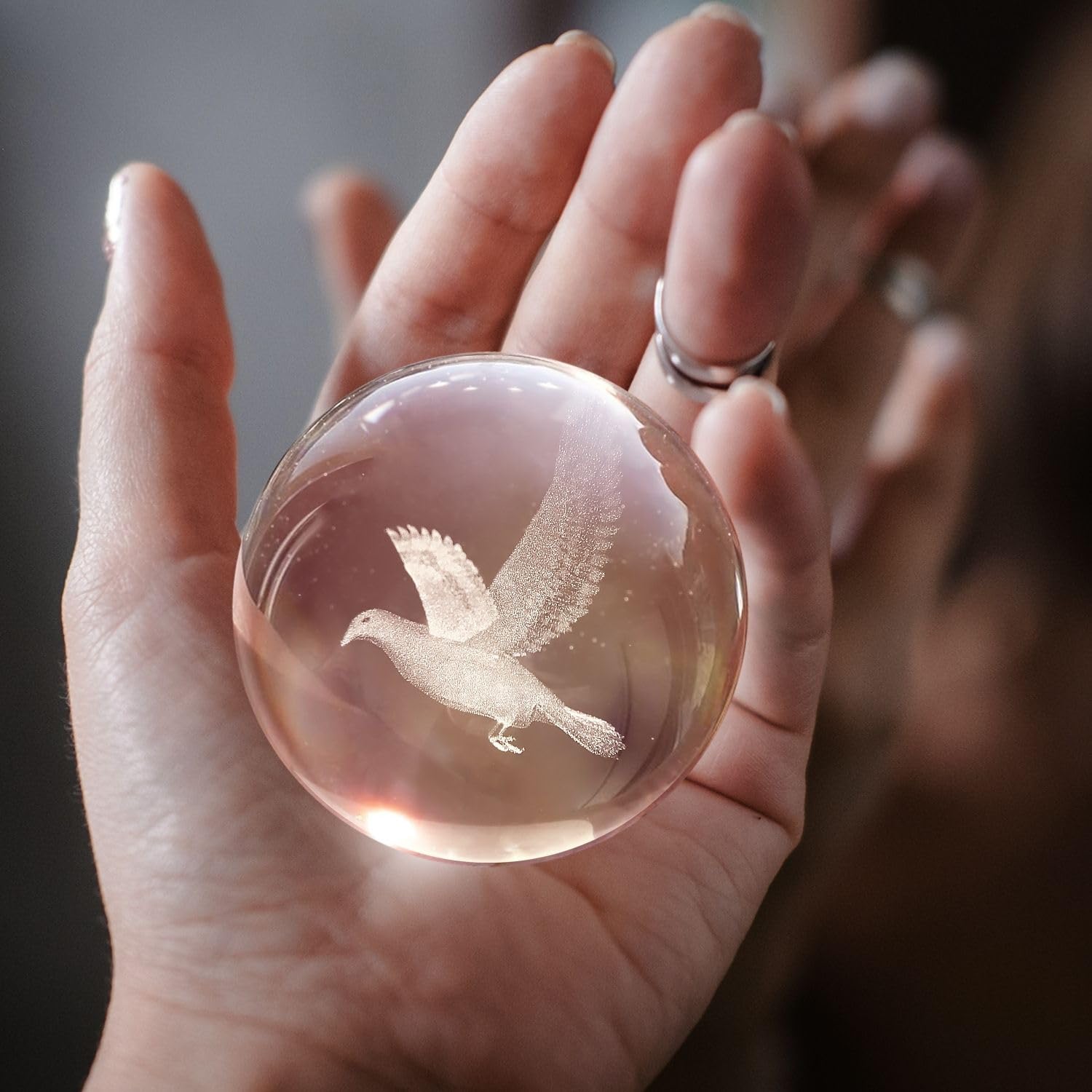 Flexzion 3D Bird Crystal Ball Night Light - 3.15" LED Glass Lamp, Gold Wood Base, Adjustable Brightness, USB Powered