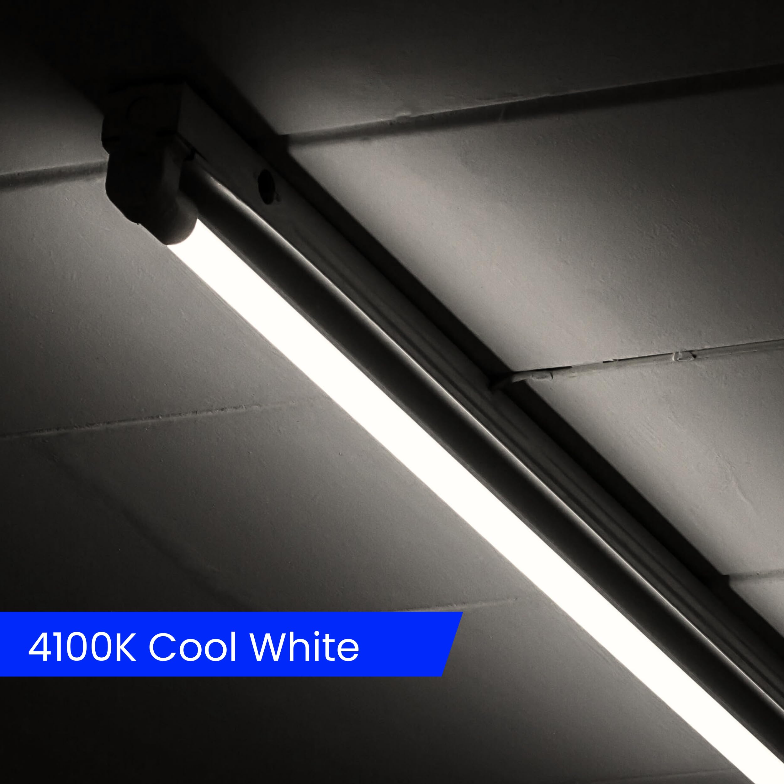 Feit Electric T8 Led Bulbs 4 Foot, 40 Watt Equivalent, Type A Tube Light, Plug & Play, T8 Or T12 Led Tube Light, Led Fluorescent