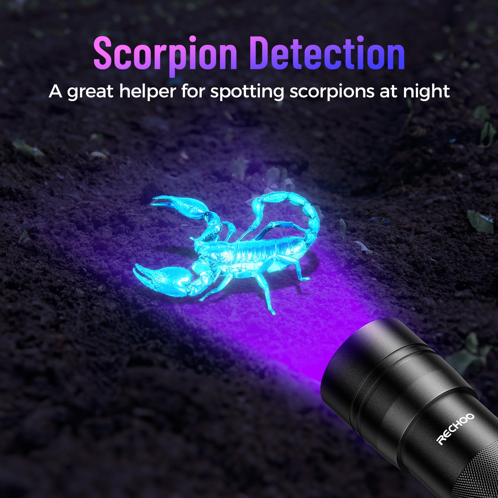 Black Light Uv Flashlight 2 Pack, 12 Led 395Nm Uv Flashlight, Portable Mini Uv Light Waterproof, Blacklight For Pet Urine Detect
