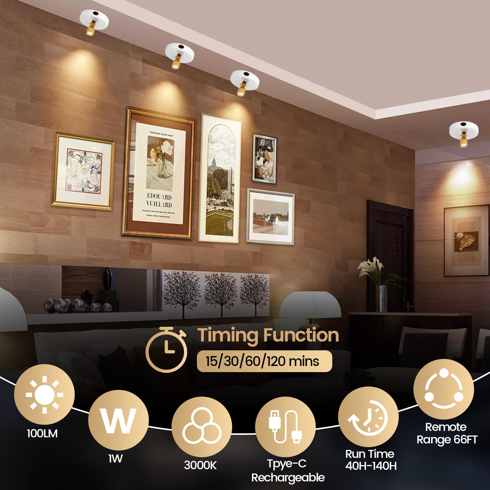 HAMVIDNE LED Spotlight, Rechargeable Battery Picture Lights, Uplighting Indoor with Remote, Stick Spot Lights for Wall Display D