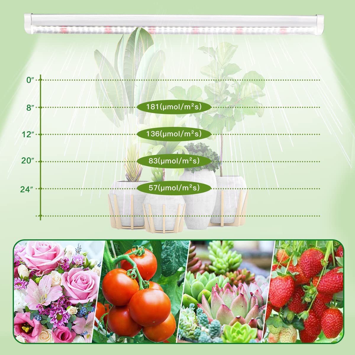 T5 Led Grow Lights, 306-Bulbs 5000K White Full Spectrum Plant Growing Lamp Bars For Indoor Plants Seedling Hydroponics, Daisy-Ch