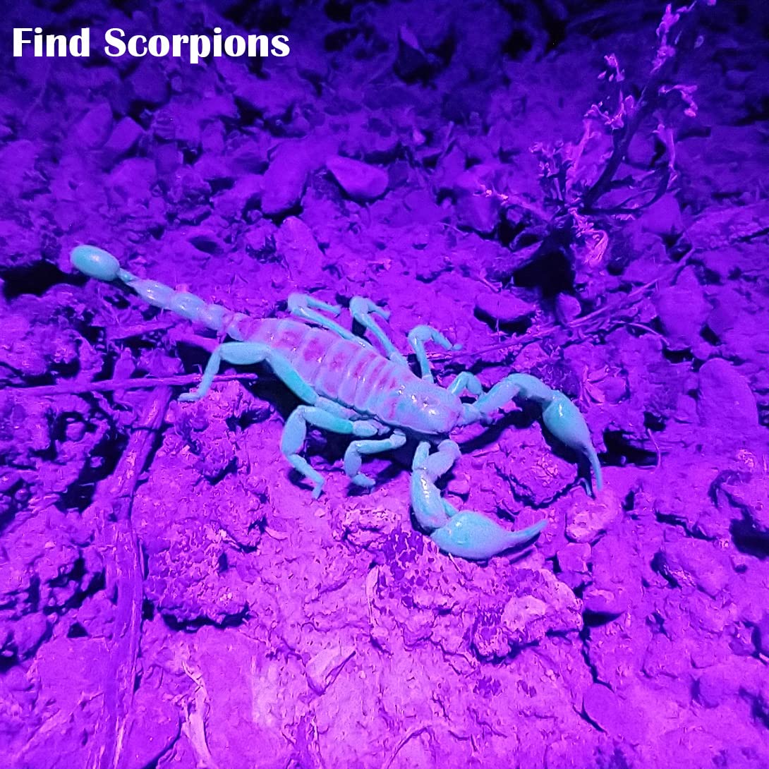 Waklyte Uv Flashlight - 21 Led Black Light, Portable Mini For Pet Urine, Scorpion & Bed Bugs