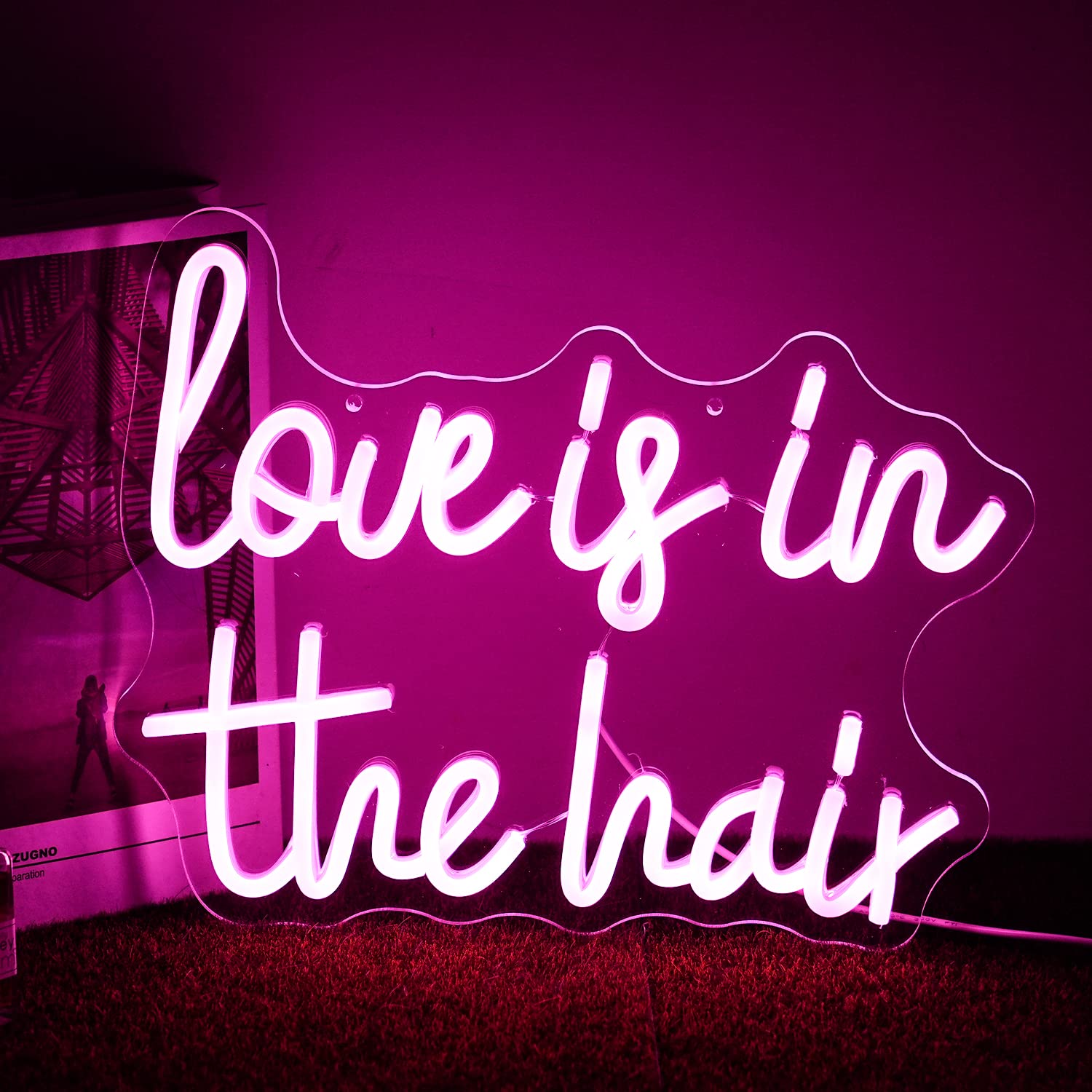 Alkkign Neon Sign - inLove is in the Hairin LED Light, Pink, 13.4inx10.6in, Model NS-28