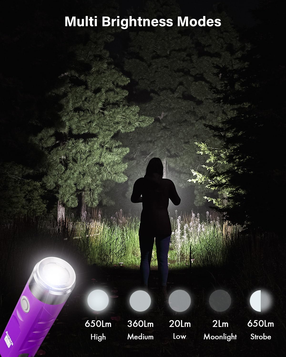 RovyVon Aurora A1 Mini Keychain Flashlight 650 Lumens USB C Rechargeable Aluminum Purple Small