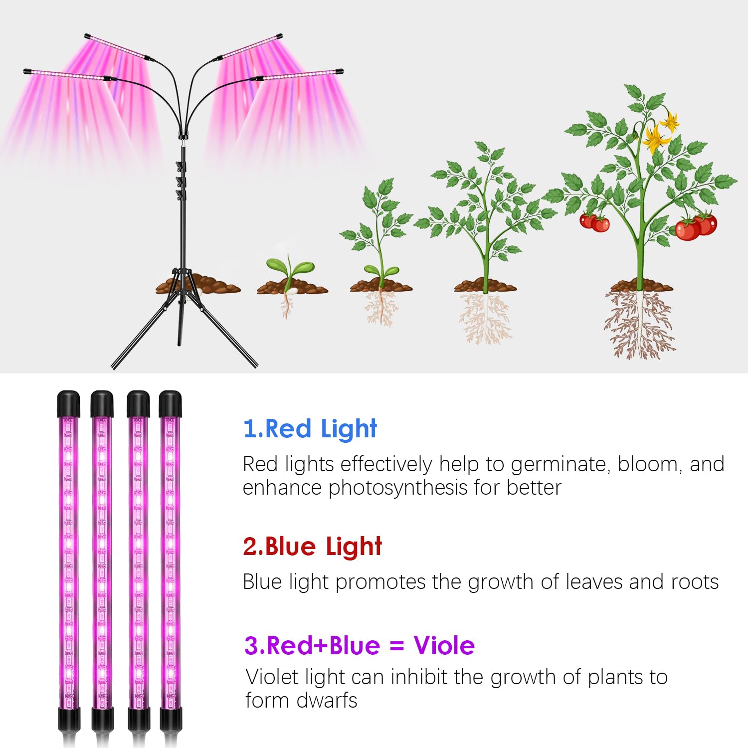 DKSPCM Grow Lights for Indoor Plants,4 Heads 6000K Red Blue Plant Light with 3/9/12H, Indoor Grow Lamp with Auto On/Off Timer Fu