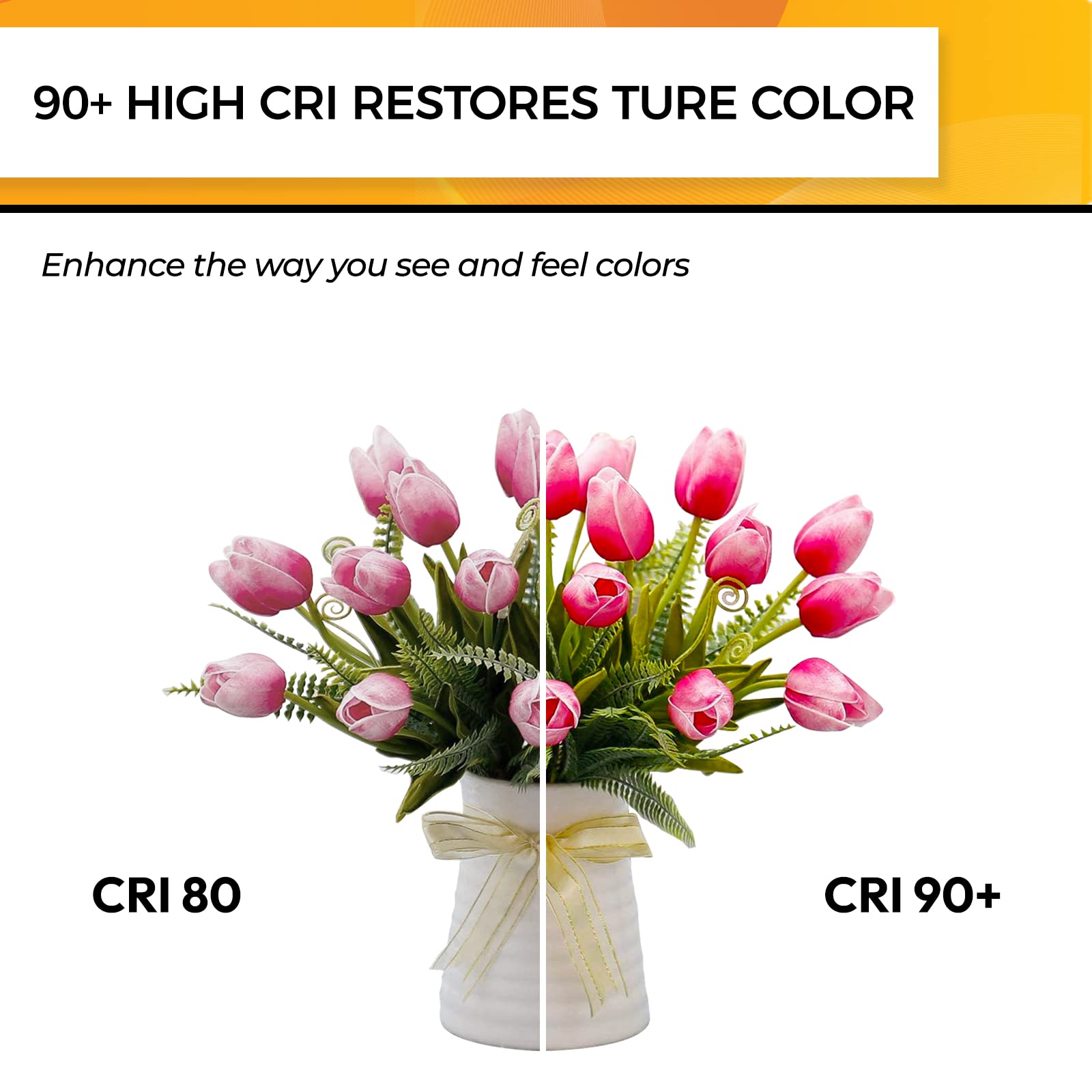 Hizashi E12 Candelabra LED Bulbs 40W 450LM 5000K Daylight White Glass 6 Pack