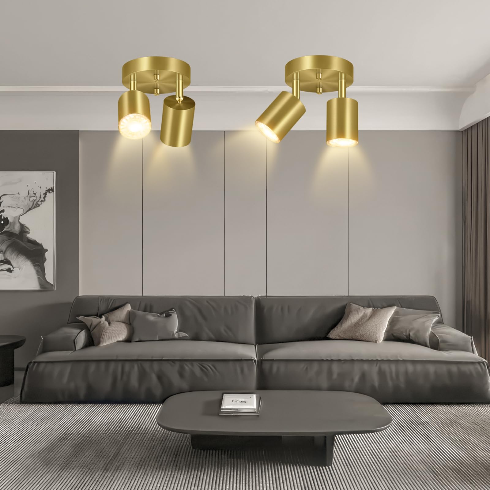 Bricosmocon 2-Light Track Lighting Fixtures, Gold Metal Adjustable Ceiling Spotlight, Model FC0323, Ideal for Kitchen/Living Room