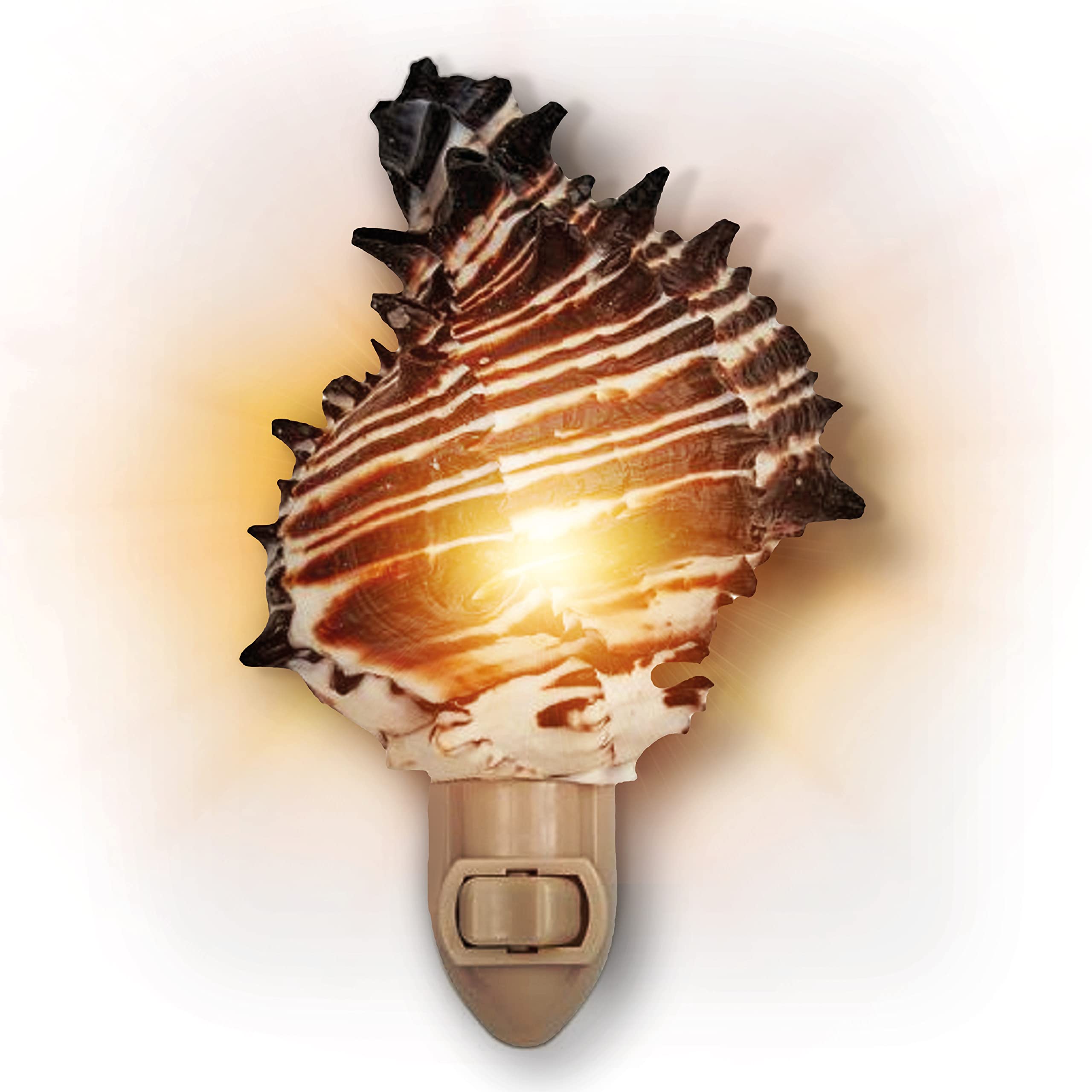 Tumbler Home Seashell Night Light, Murex Black, Coastal Décor, Model DCR-NTL-MUREX-BLK