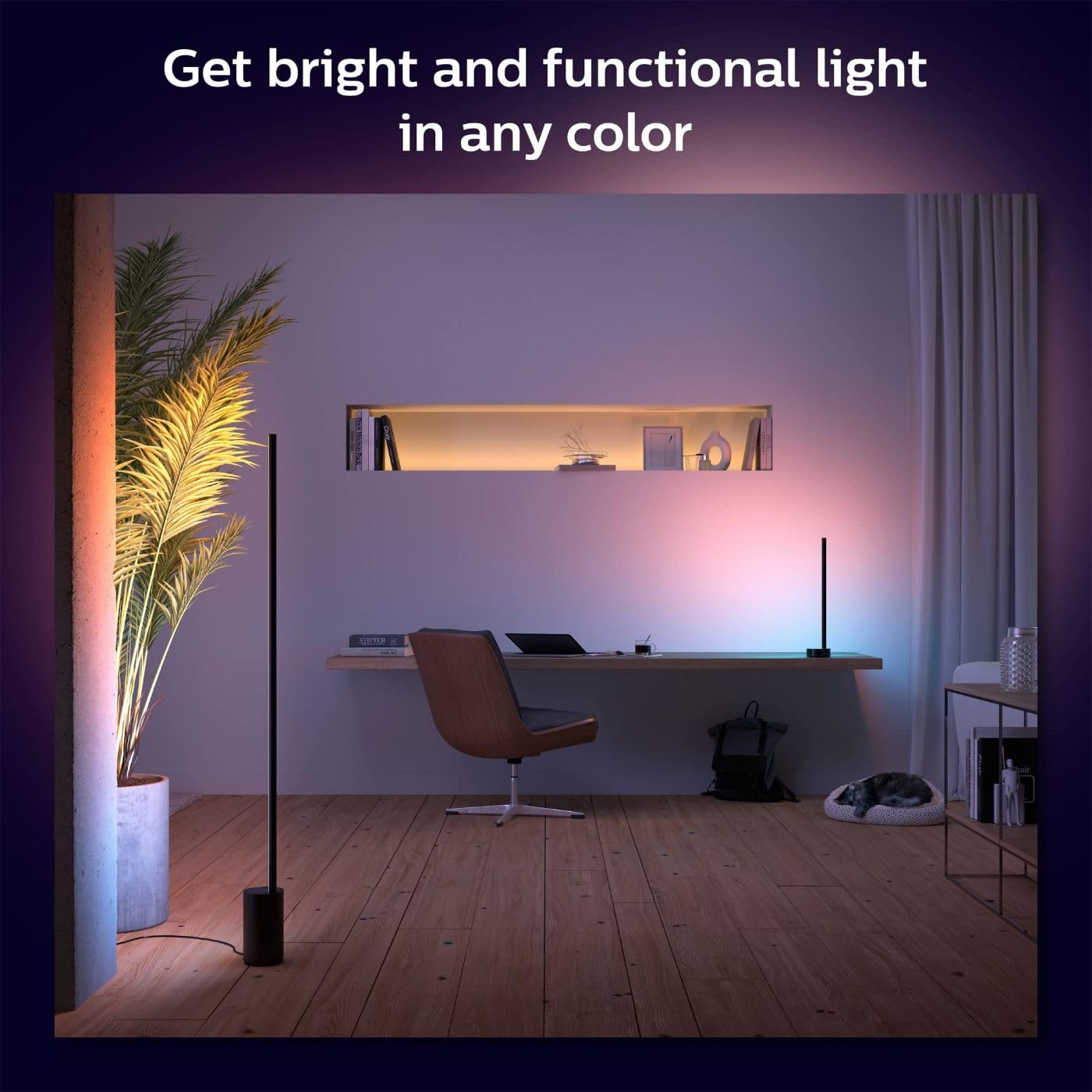 Philips Hue Signe Smart Table Lamp - Black, 1 Pack, Color-Changing LED, Model 569095, Works with Alexa & Google Assistant