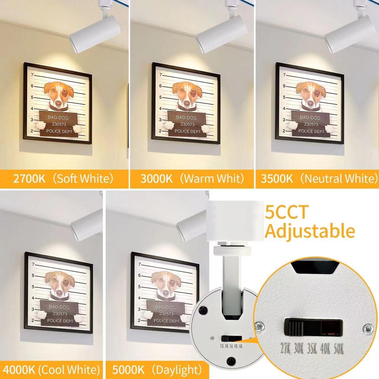 Ajbvp 5Color Led Track Lighting Heads 12W Dimmable,Zoomable Beam15°/24°/36°/45°/60°,2700K/3000K/3500K/4000K/5000K,Single Circuit H Track Lighting Heads Ceiling Fixtures Art Lighting(6 Pack-White)