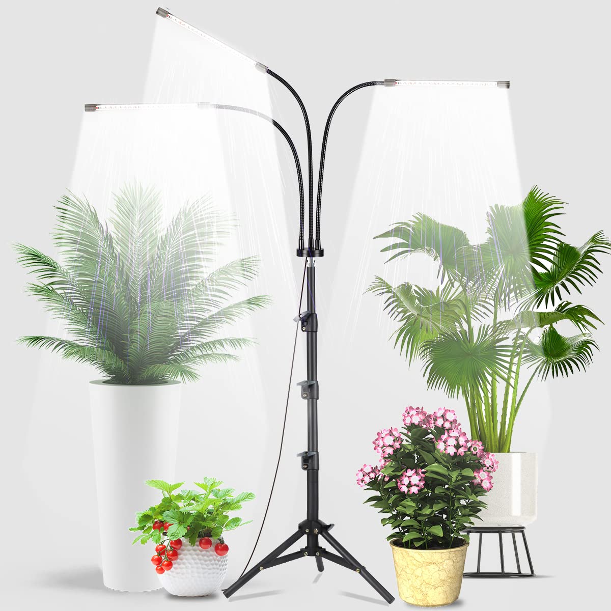 GHodec Grow Light with Stand, 60 LED 5500K Full Spectrum Floor Plant Light for Indoor Plants Growing,5 Dimmable Levels & Auto On