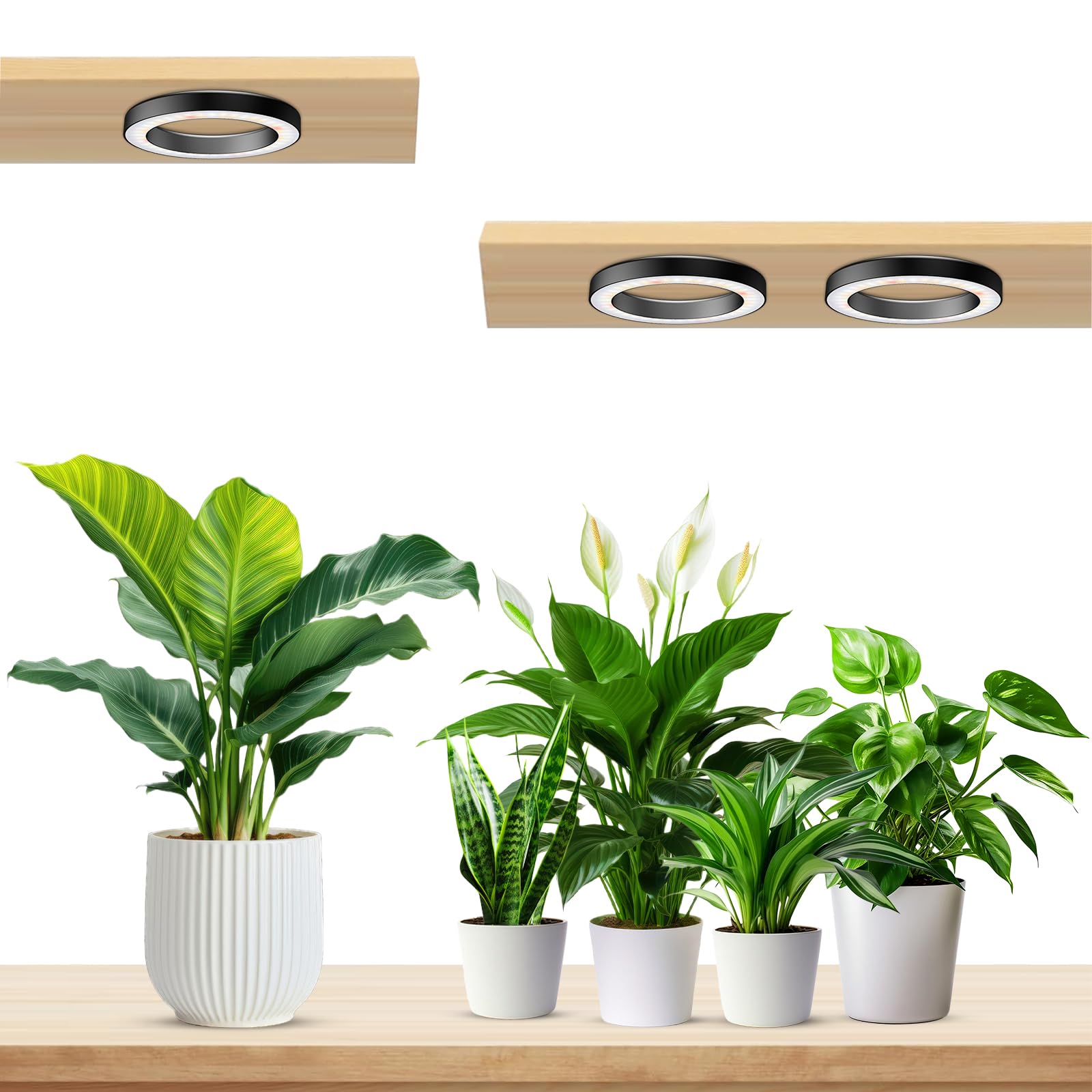 Wiaxulay 6.3” Ceiling Plant Grow Light, 252 LED Full Spectrum, Tri Head, 12V/3A, 3 Lighting Modes, 5 Dimmable Levels