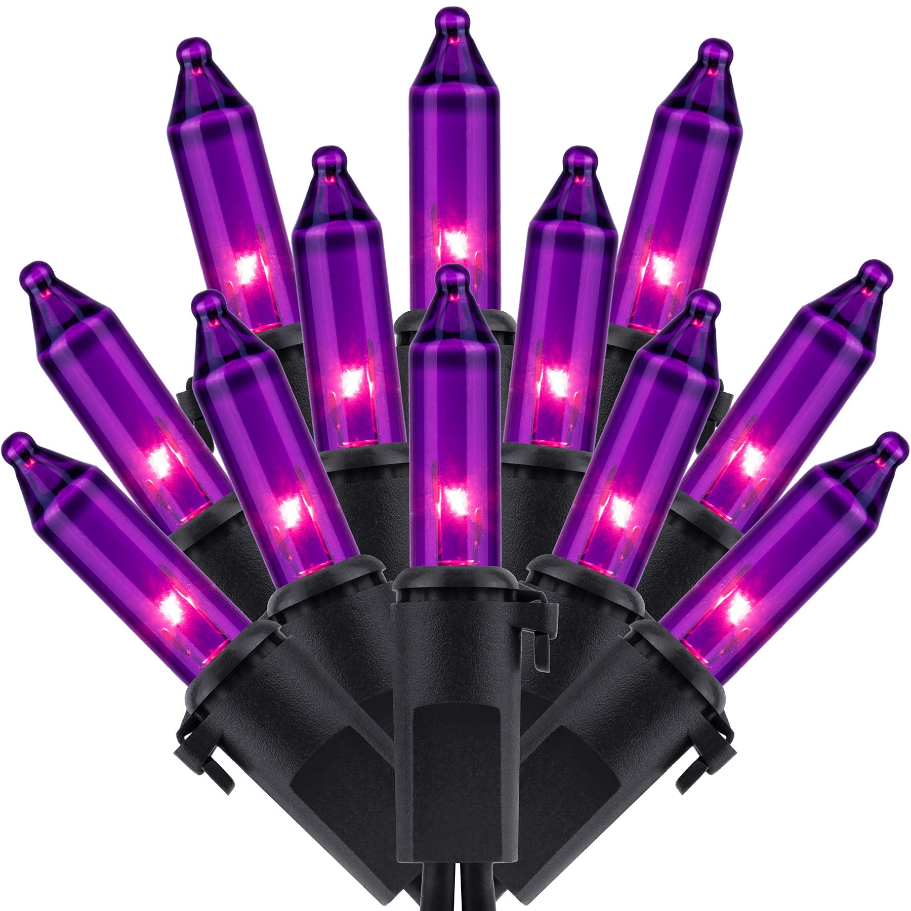 SWEET SHINE 200 Count Purple Christmas Lights  Pack of 2 Strands 100 Count 33 ft Black Wire UL Listed Halloween String Light (Purple)