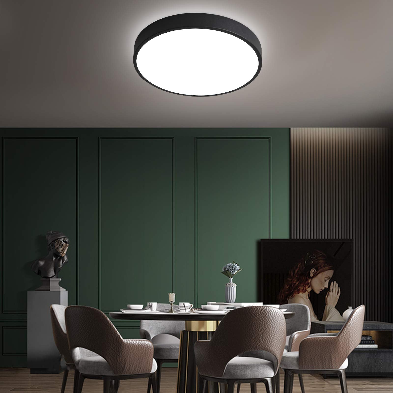Hovenla 15.8 Inch Led Flush Mount Ceiling Light 2Pack, 30W Black Kitchen Ceiling Light Fixtures (200W Equi) 2400Lm, 5000K Daylight Round Light Fixture Ceiling Mount For Hallway, Bedrooms, Not-Dimmable