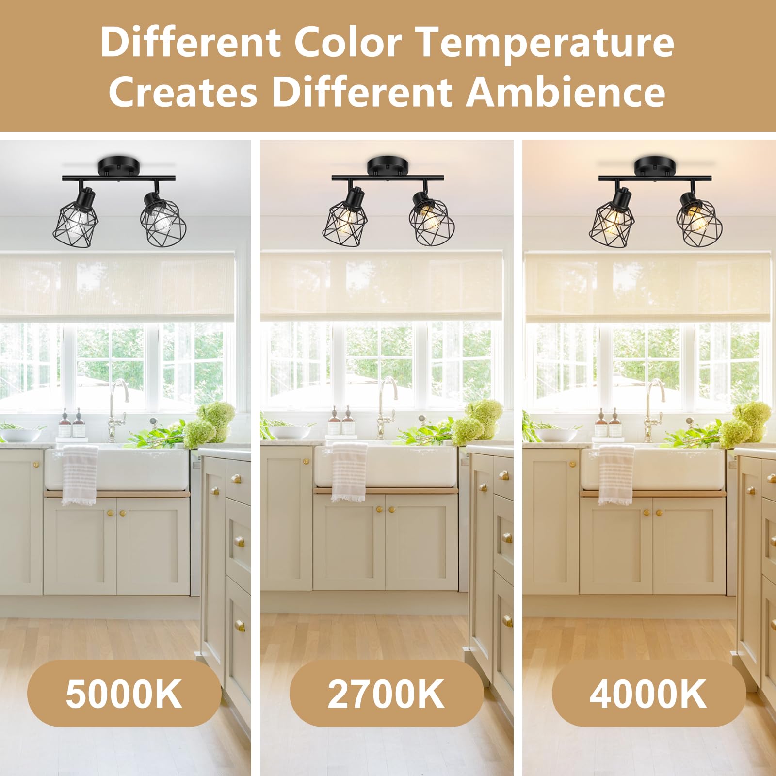 Baocuz 2-Lights Ceiling Light Fixtures, Adjustable Metal Wire Cage, Vintage Style, Black, Model BTCL-2 Light