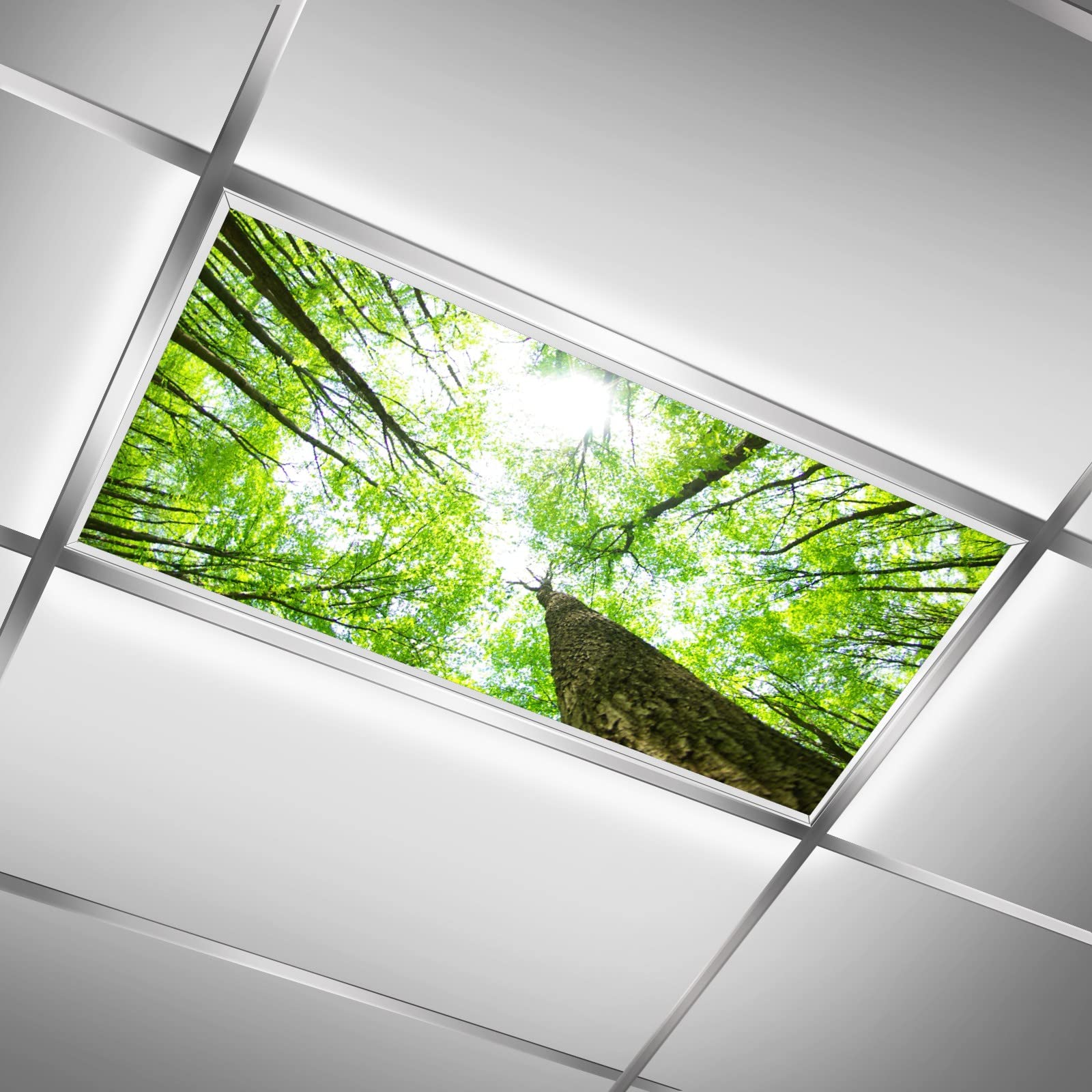 BIROSVSY Fluorescent Light Covers - Backlit Film, 22.83in x 46.5in, Giant Trees Design for Classroom and Office