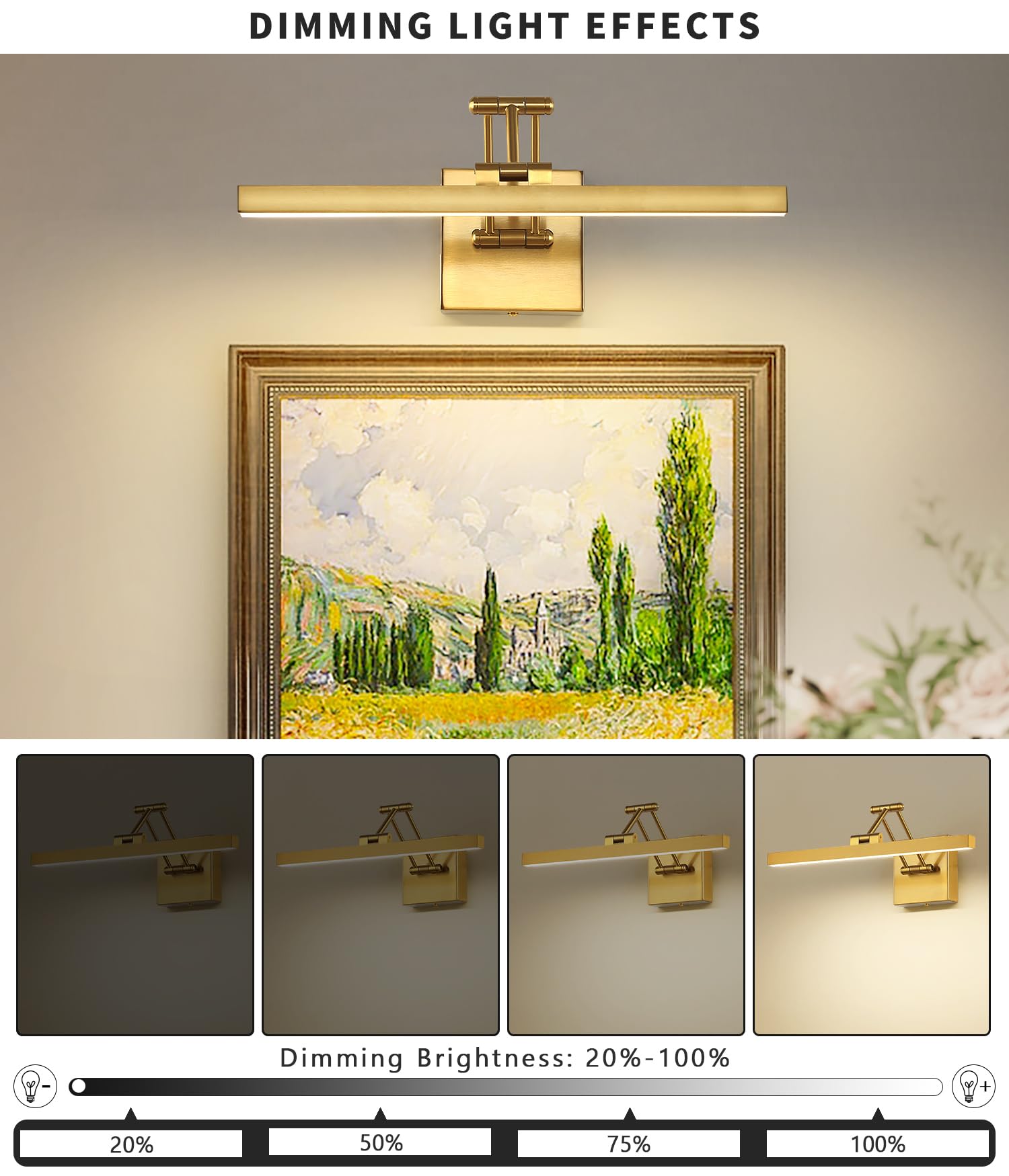 Pasoar 15.7 Dimmable LED Picture Light, Brass Wall Art Lamp with Adjustable Swing Arm, Warm White 3000K - Ideal for Paintings & Book Display