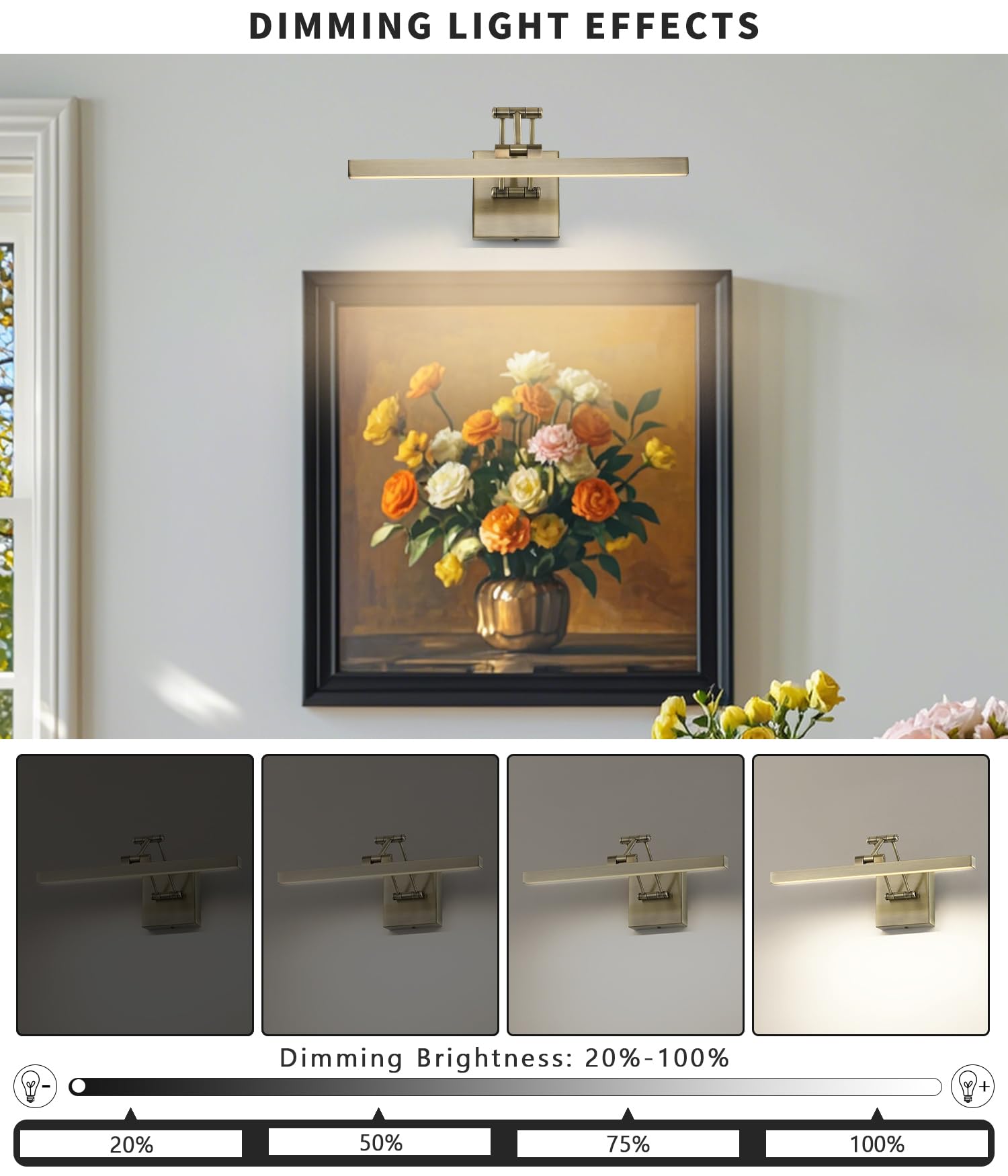 Pasoar Led Picture Lights For Paintings Dimmable 15.5 Inch Long Hard-Wired Picture Frame Lights Gallery Wall Light With Adjustab