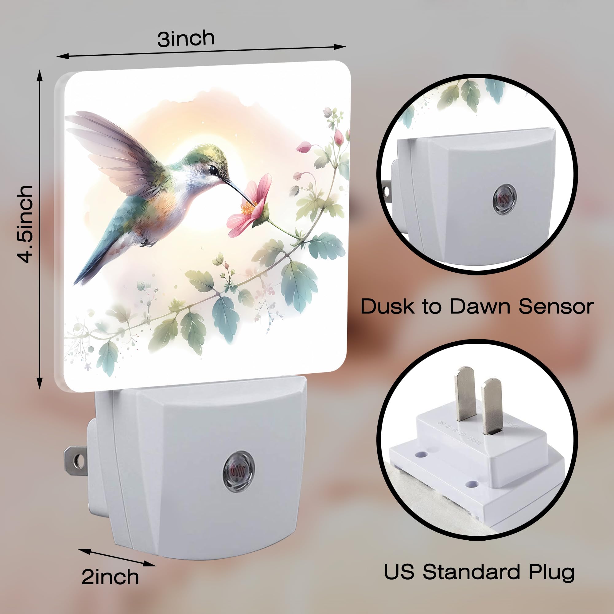 Groovy Hummingbird Flower Night Light For Kids, Watercolor Floral Bird Night Light Plug In With Dusk To Dawn Sensor, 0.5W Energy
