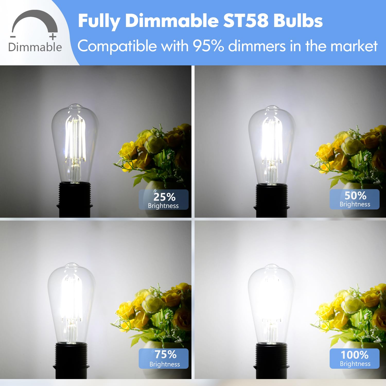 6-Pack 7W Dimmable Led Light Bulbs, 60Watt Equivalent Edison Bulbs, 900Lm Ultra Bright Led Bulbs, 5000K Daylight White, St58 Vin