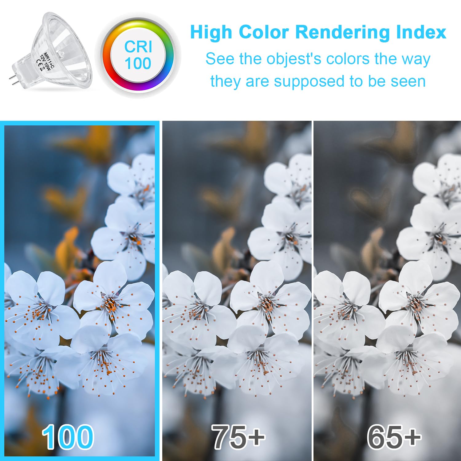 Lacnooe Mr11 Halogen Bulb 10W 12V Ftd Spotlight Bulb With Long Lifespan,Gu4 Bi-Pin Base,Dimmable Mr11 Bulbs With Glass Cover For