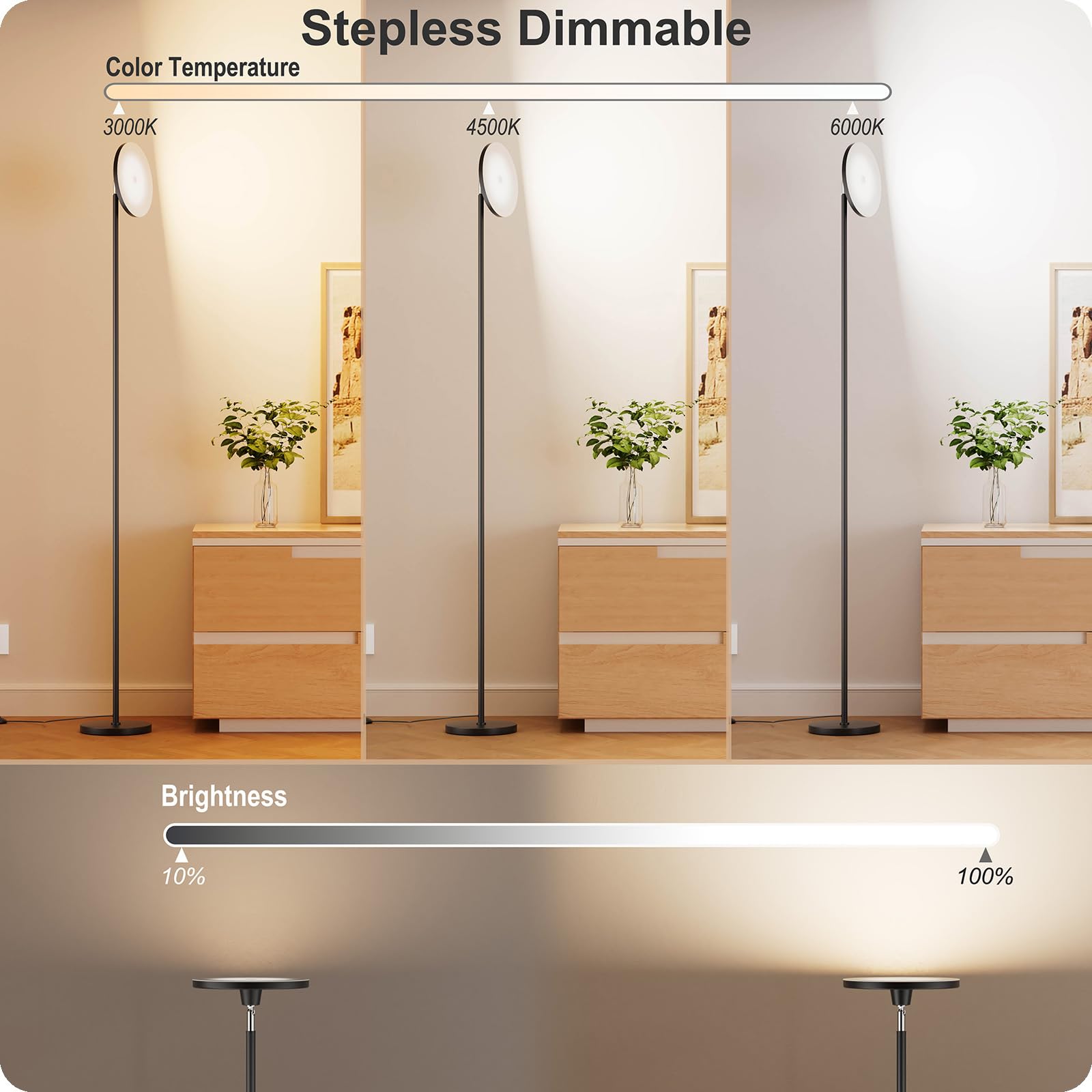 Nukanu Dimmable Floor Lamp With Remote
