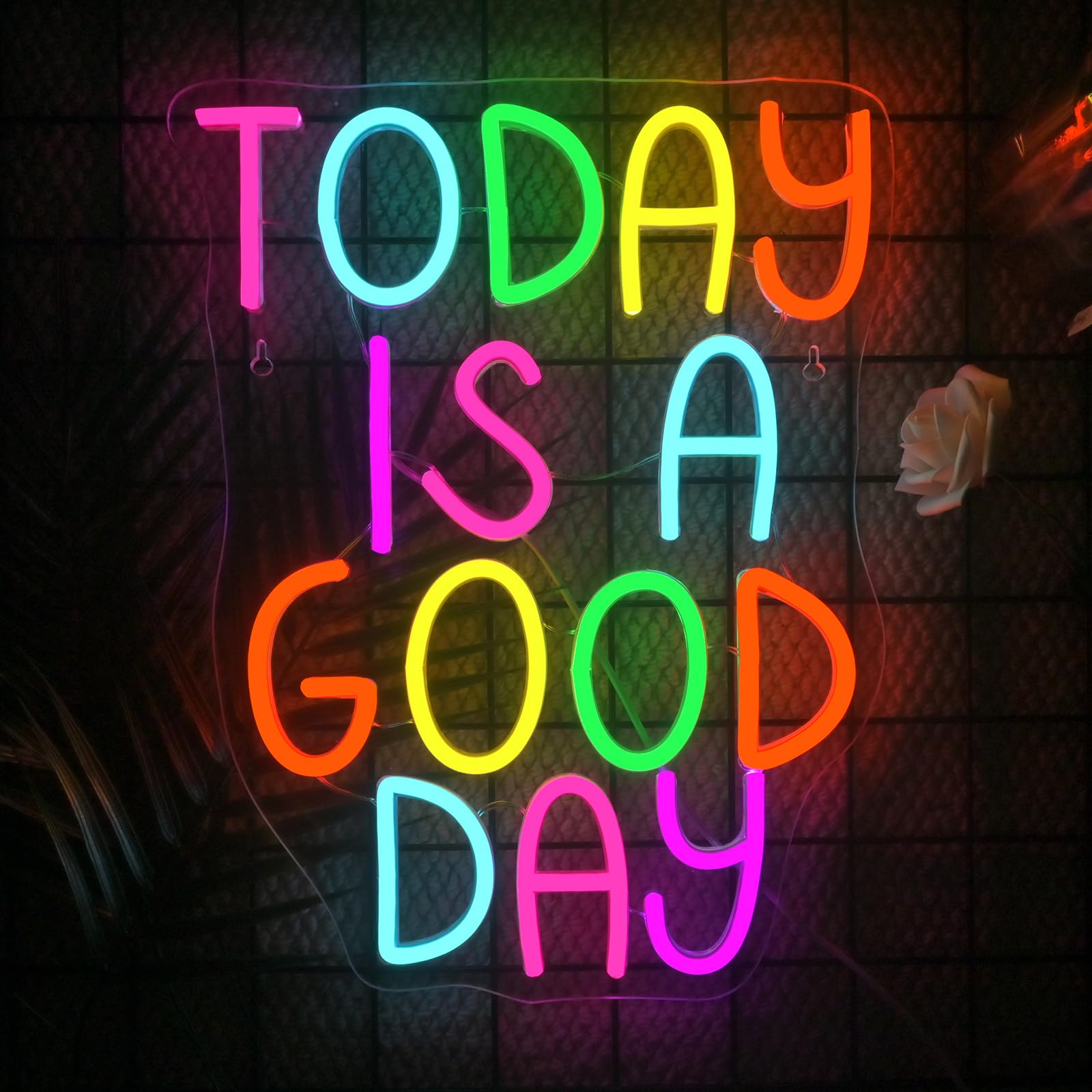 Looklight LED Neon Sign - "Good Day" Wall Decor for Home, Cafe, Bar - 11.42 x 14.57 inches - Acrylic Lighting Decoration