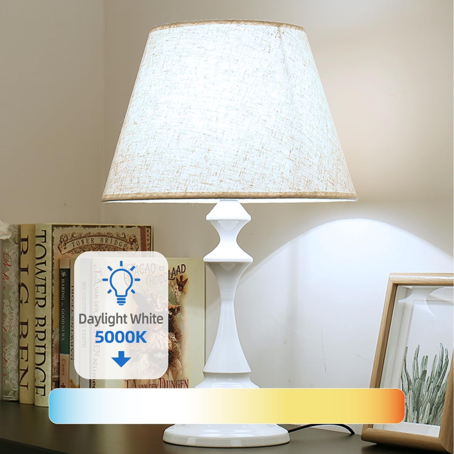 TJOY A19 LED Light Bulbs 24 Pack, 60W Equivalent, 9W, Daylight 5000K, E26 Base, Energy Saving, 800LM, Non-D