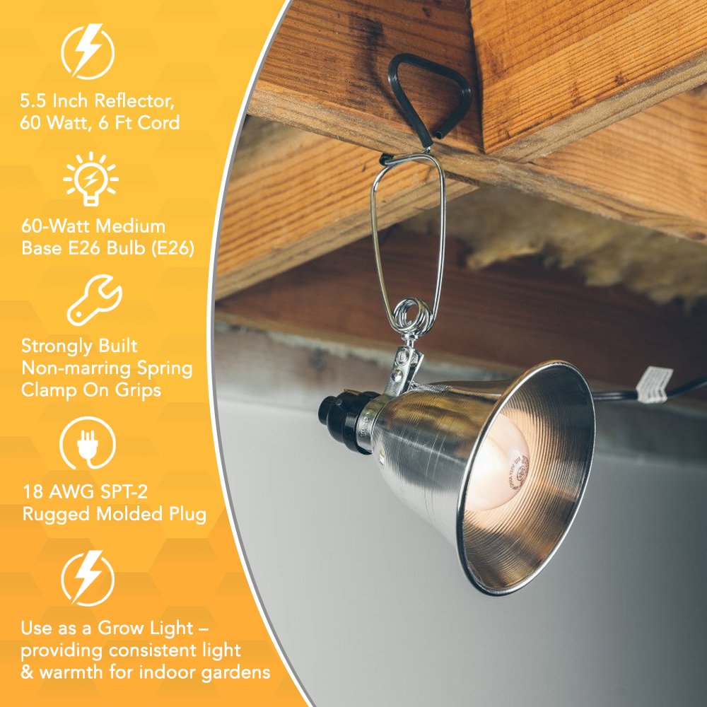 Woods 0160 18/2 SPT-2 Clamp Lamp with 5.5 Inch Reflector, 60 Watt, 6 Foot Cord (Pack of 2)