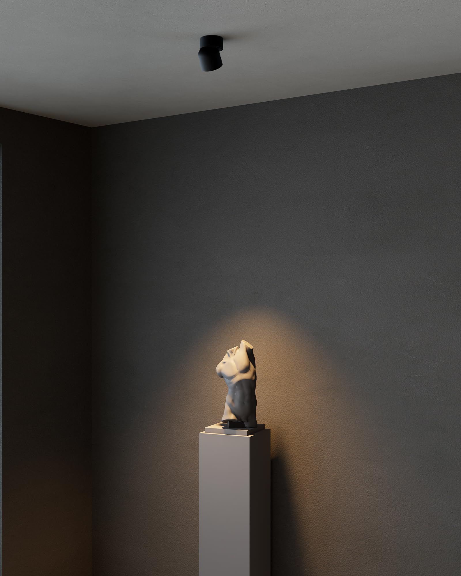 Aisilan 2 Pack Black Led Ceiling Spot Lights, 9W Warm White, Adjustable Indoor Accent Lighting