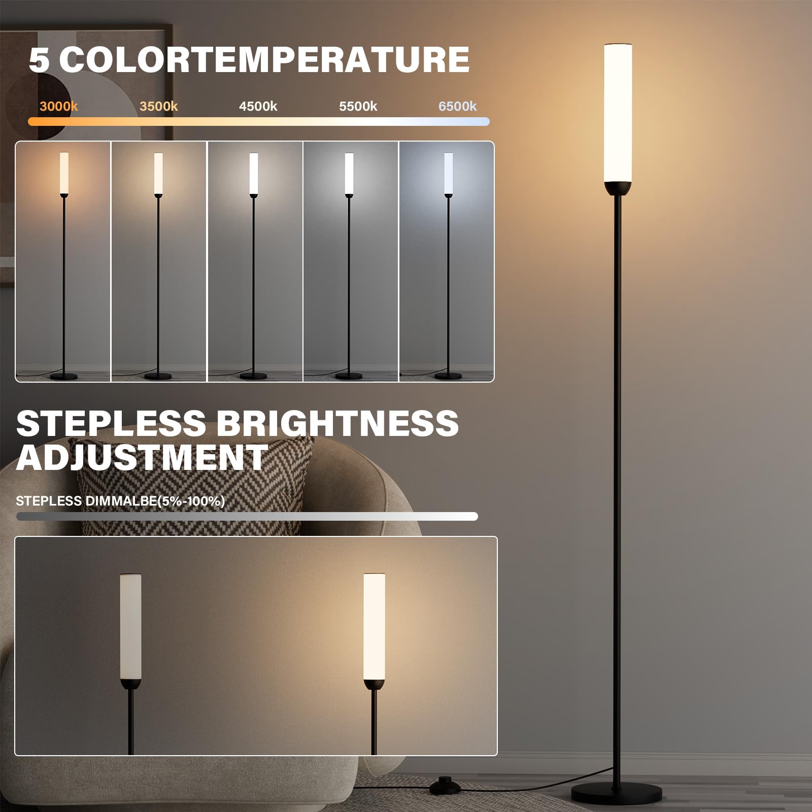 Ambimall LED Floor Lamp, 65in with Remote Control, 3000K-6500K Colors, 5%-100% Brightness, Black, Model RPT-ZGLED1