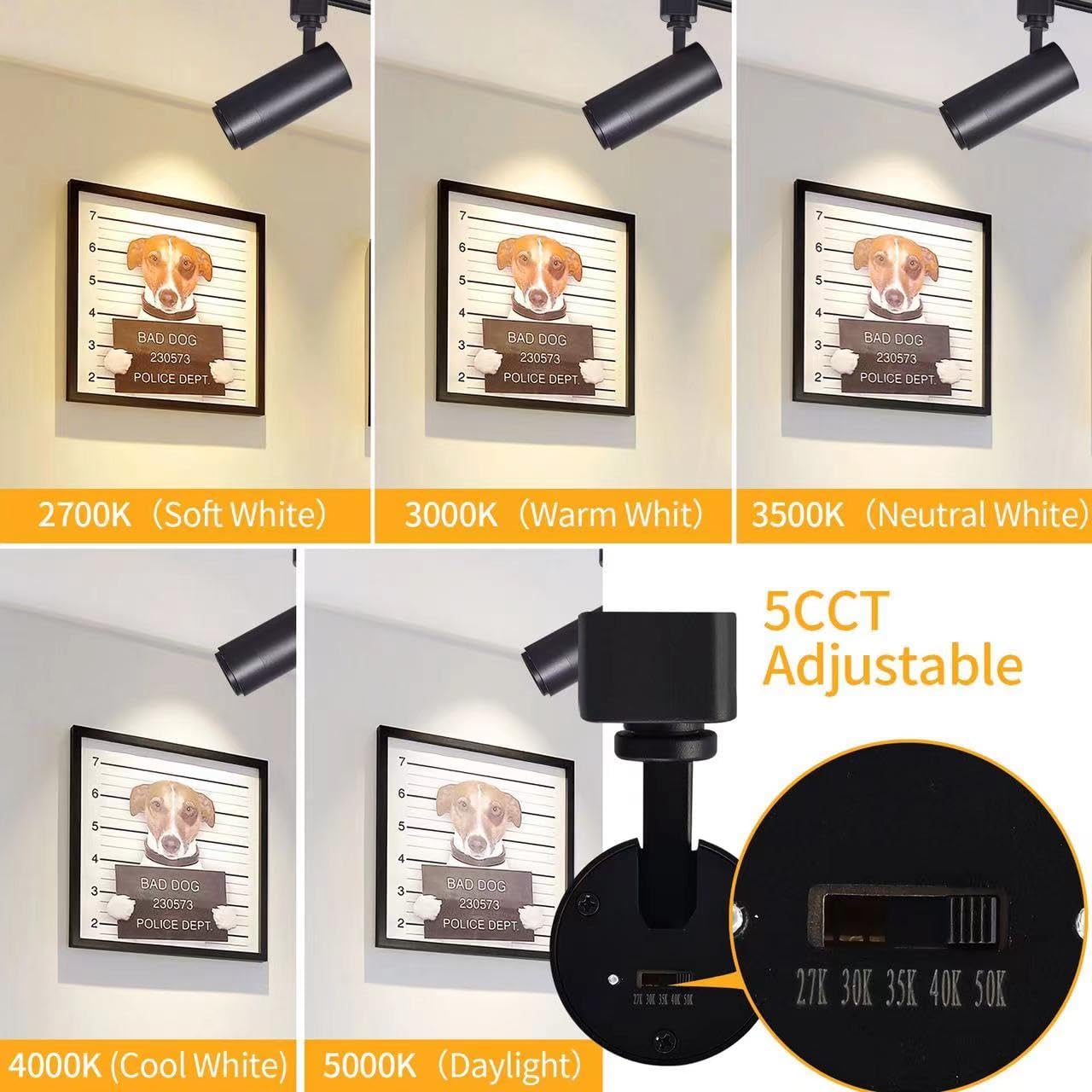Ajbvp 5-Color Dimmable LED Track Lighting Heads, 12W, Zoomable Beam, 6 Pack - Black, Model AJ-001, Suitable for Art Lighting