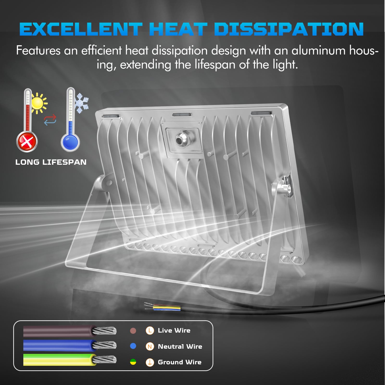 Viugreum 100W LED Flood Light, 8000LM, IP67 Waterproof, Daylight White (6000-6500K), Aluminum, Model D6NPT100W110