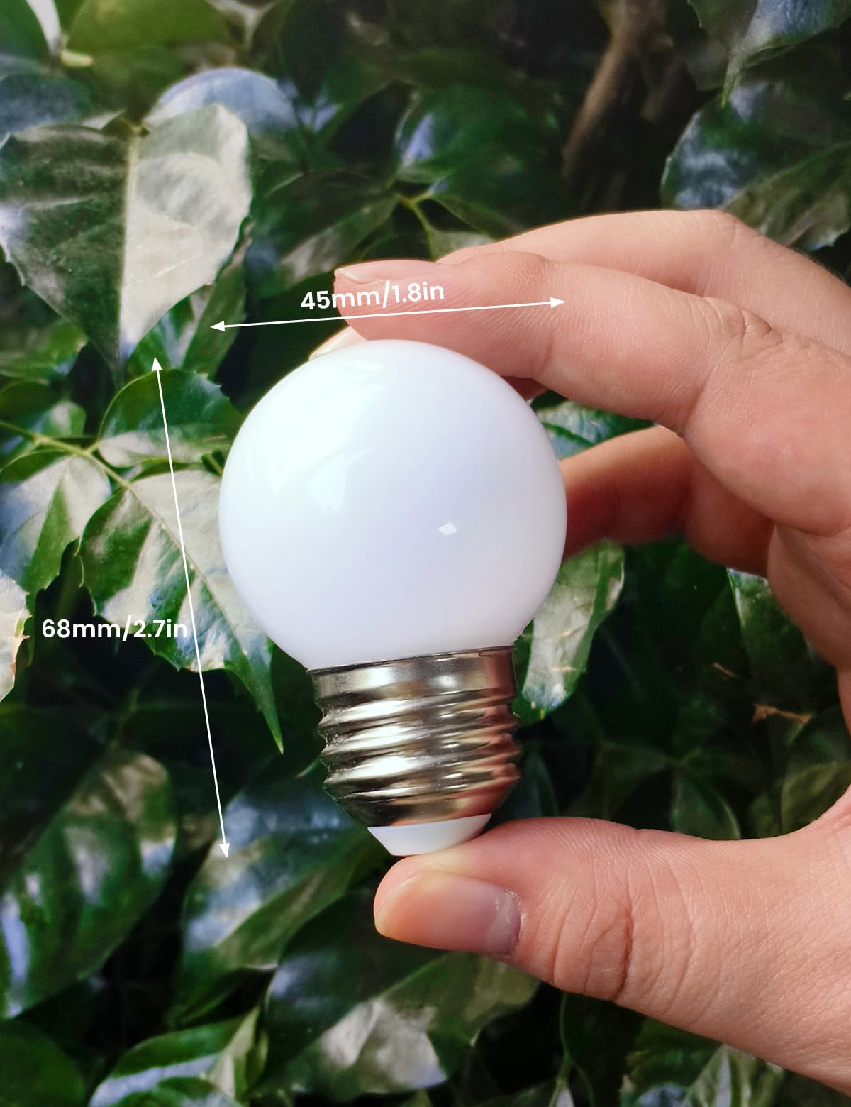 G45 Led Refrigerator Light Bulb - 40W Equivalent, 5W, 6000K Daywhite, 95+ Cri, E26 Base, Waterproof Ip44 - Full Spectrum For Kit
