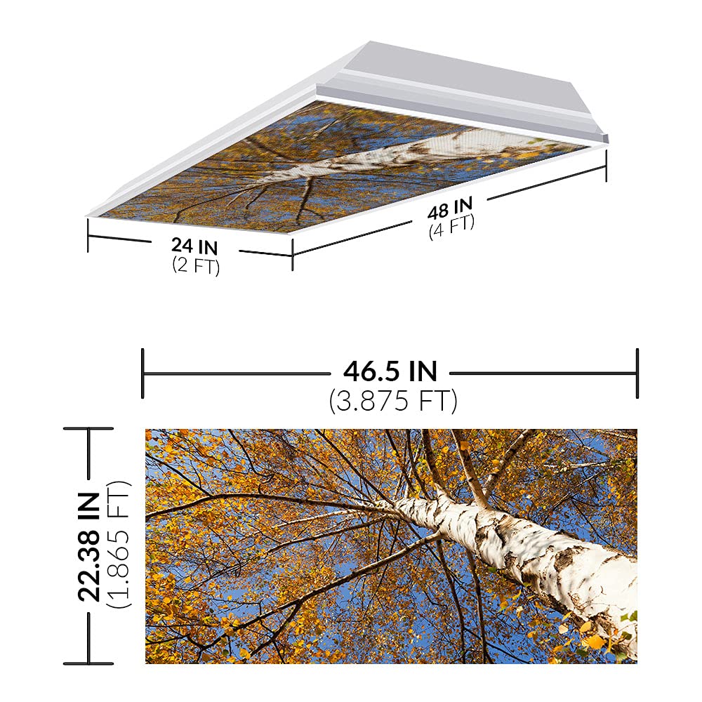 OCTO LIGHTS Fluorescent Light Cover Backlit Film Insert 2x4 Autumn Birch Tree 22.38inx46.5in Model TRE-003-2x4 Pack of