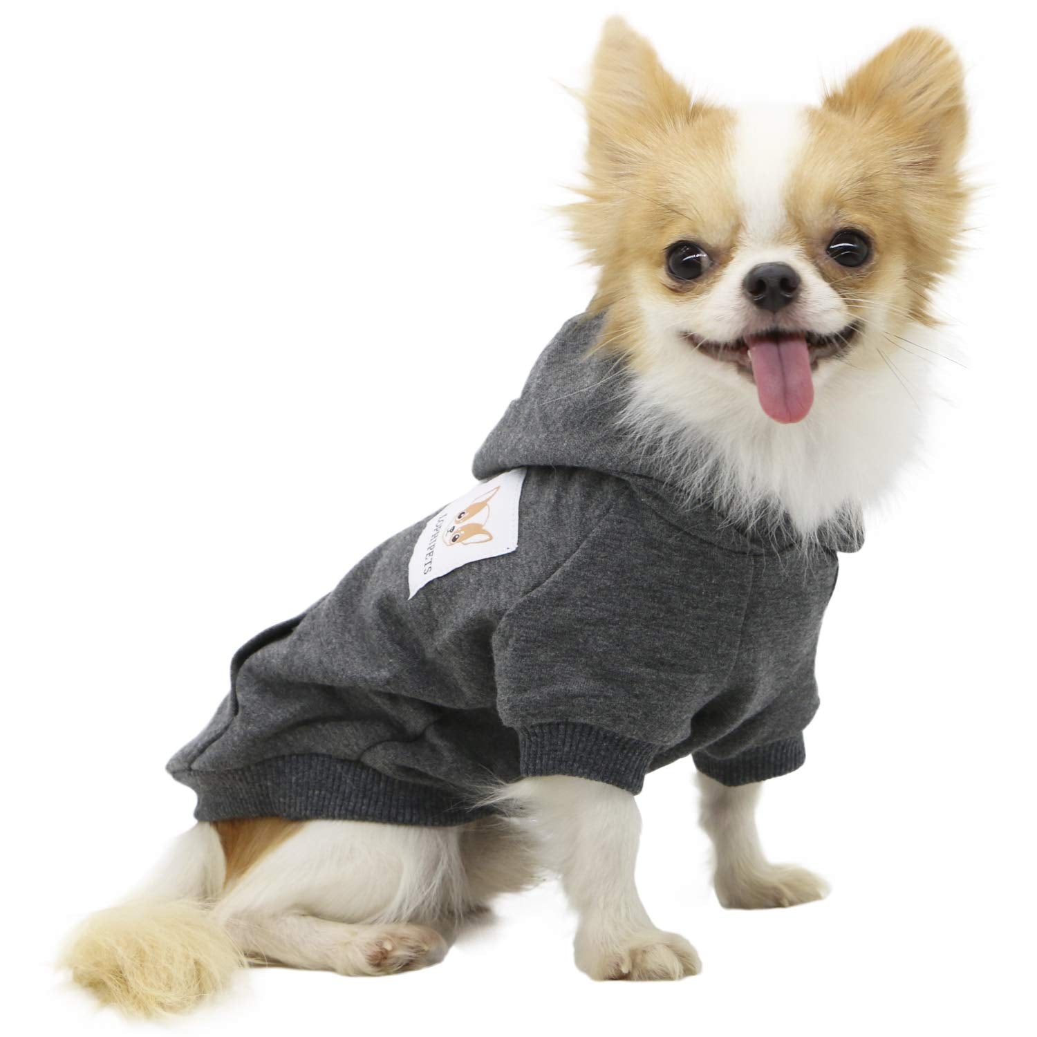 LOPHIPETS Dog Cotton Hoodie Sweatshirt for Small Dogs, 95% Cotton, Large (6.5-10 lbs), Charcoal