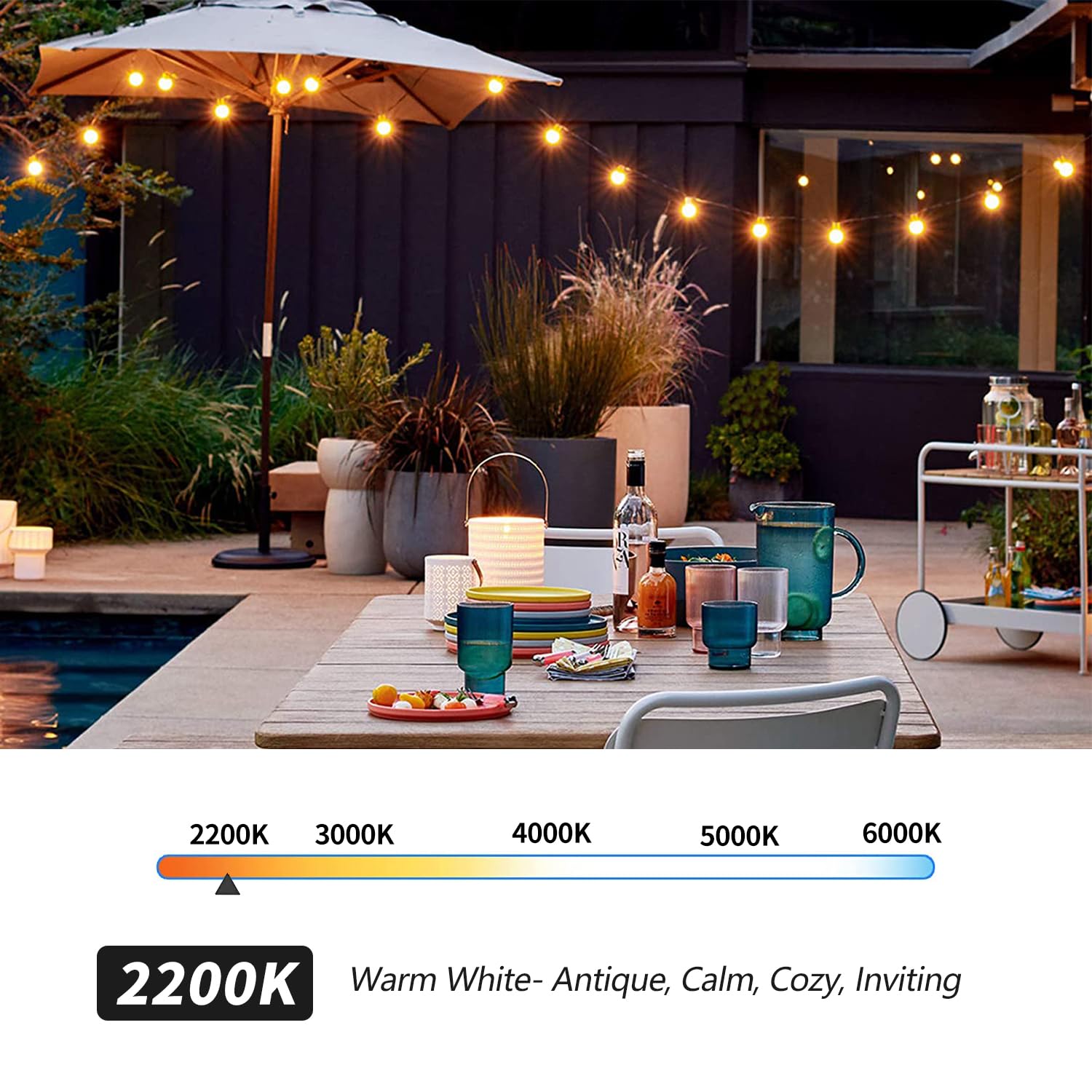 Lieidi 25-Pack G40 Led Replacement Light Bulbs, E12 Screw Base Shatterproof Globe Bulbs For Outdoor String Lights, 0.6Watt Equva