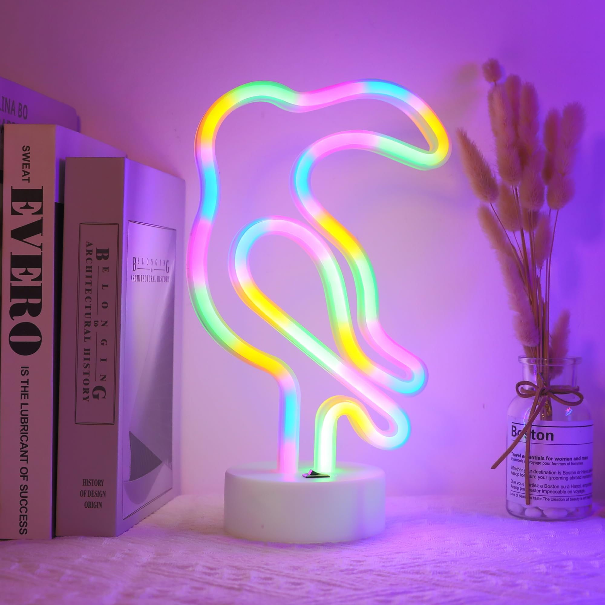 Decorative Led Toucan Shaped Neon Sign Enuoli Neon Night Light With Four Color Lights Batter&Usb Powered Table Led Lights For Ho