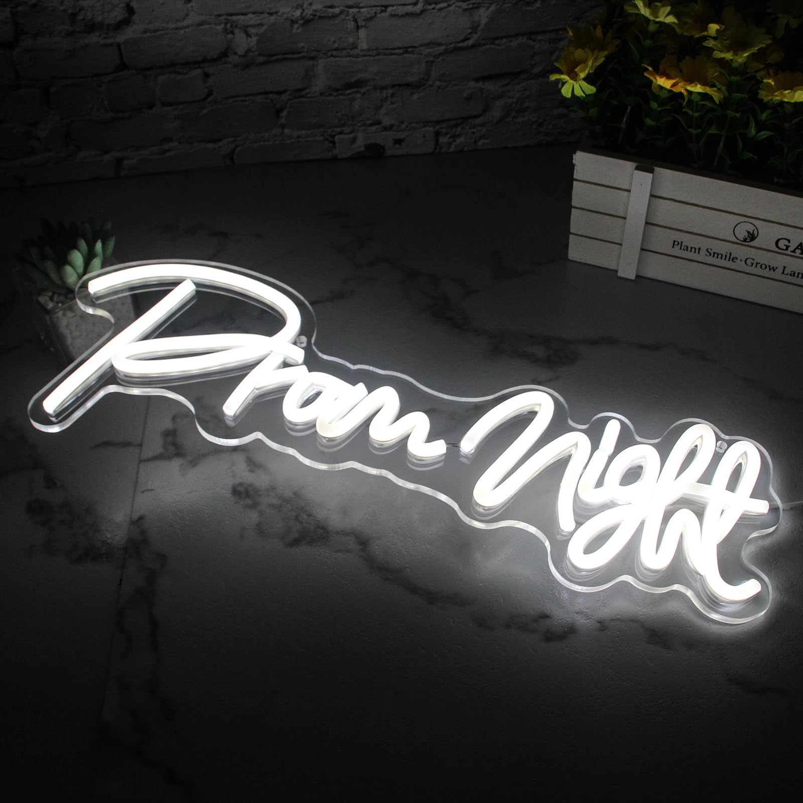 Jesalah Neon Sign - LED Backdrop for Prom 2025 Grad Party, 15.7x43cm, AC--White, Model CX-Prom Night