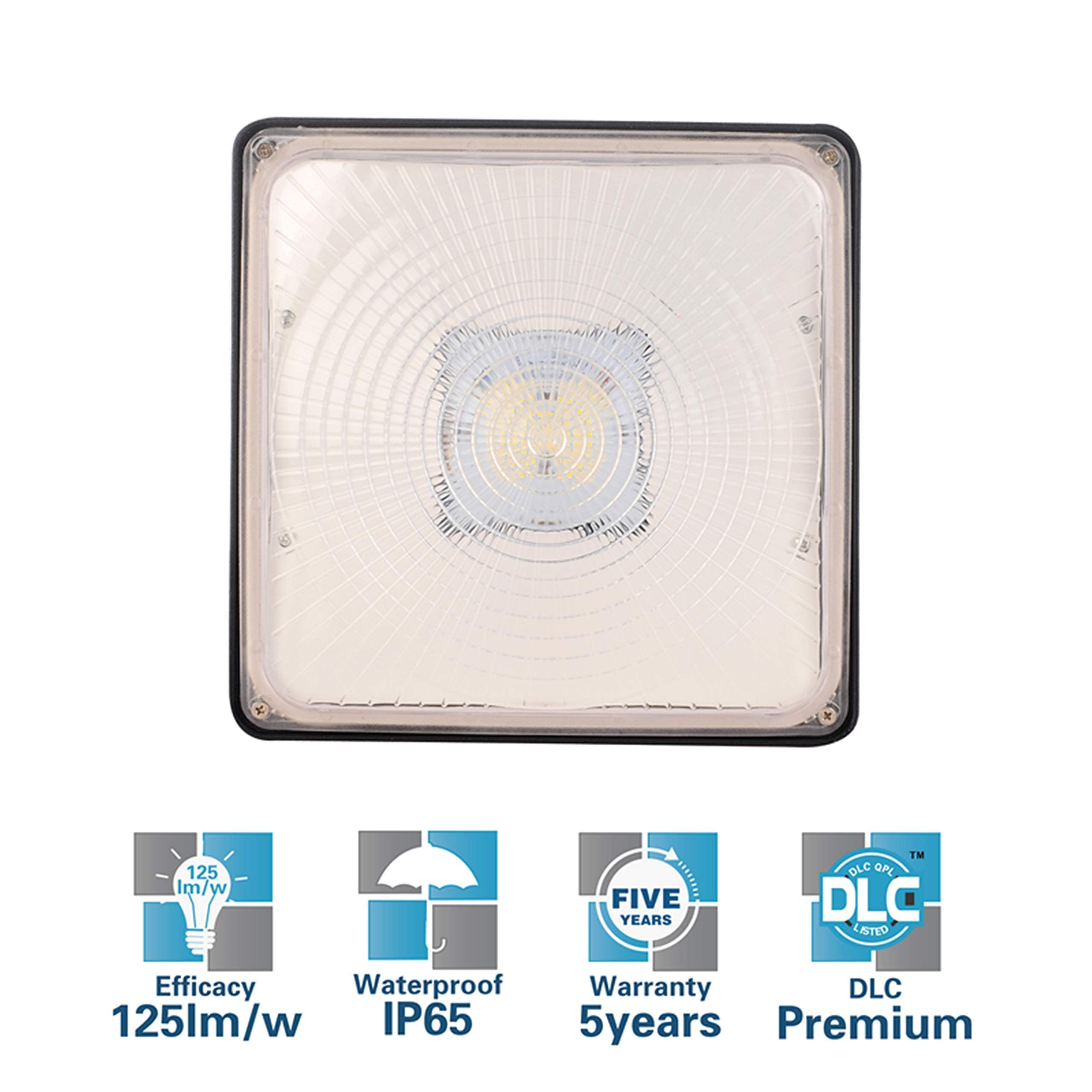 Suchace Led Canopy Light 70W, 8750 Lumens 5000K Daylight, Square Ceiling Light For Gas Station, Carport, Outdoor Lighting, Etl L