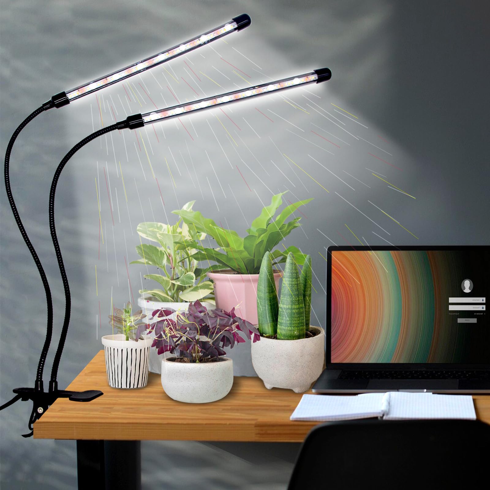 LEOTER Grow Lights for Indoor Plants - 96 LED Full Spectrum, 5-Level Dimmable, Auto On/Off, 2 Heads, Black, Model: light-002