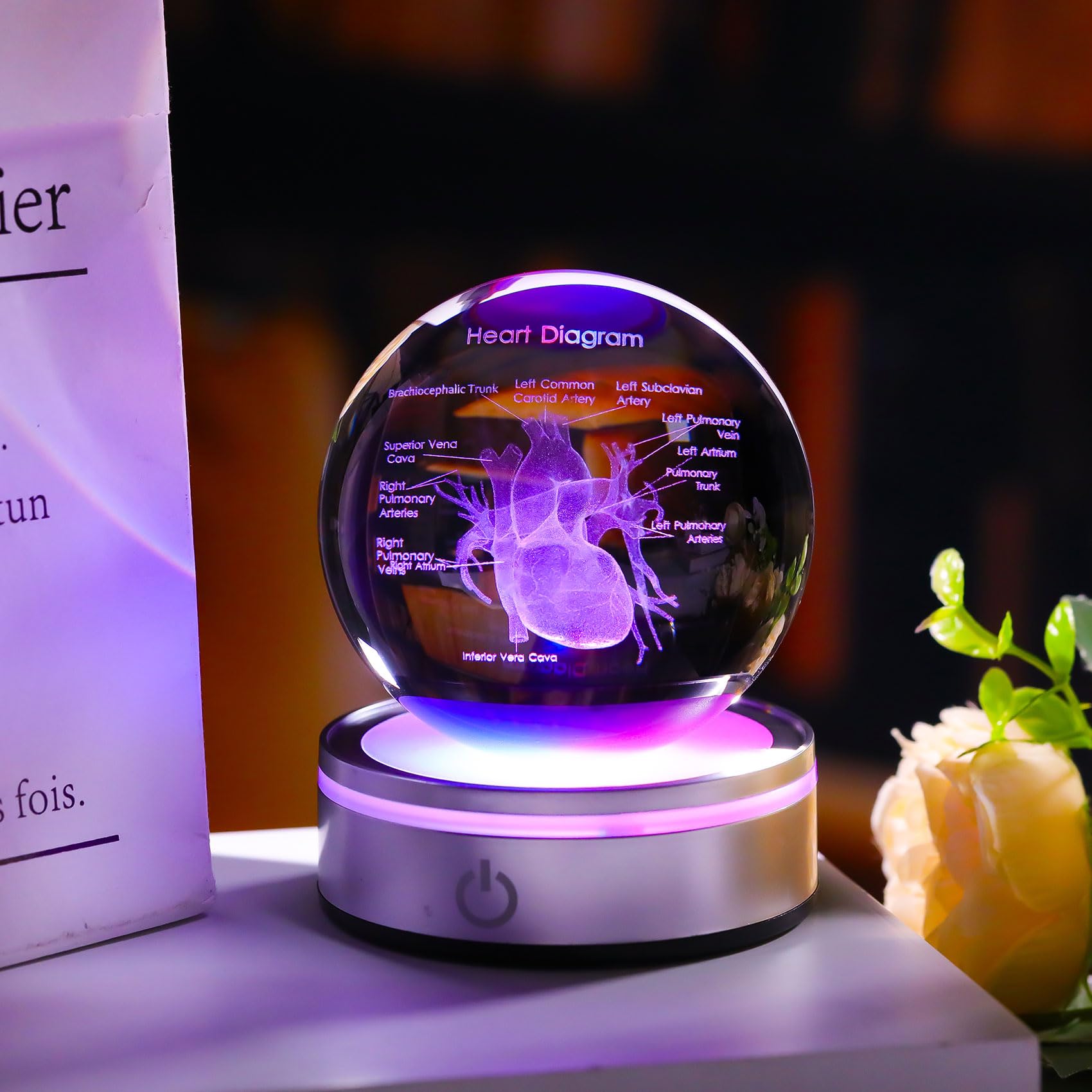 Enjinkail 3D Heart Model Crystal Ball Doctors Gift, Cardiologist Gift For Men And Women With Colorful Led Base, Medical Statue F