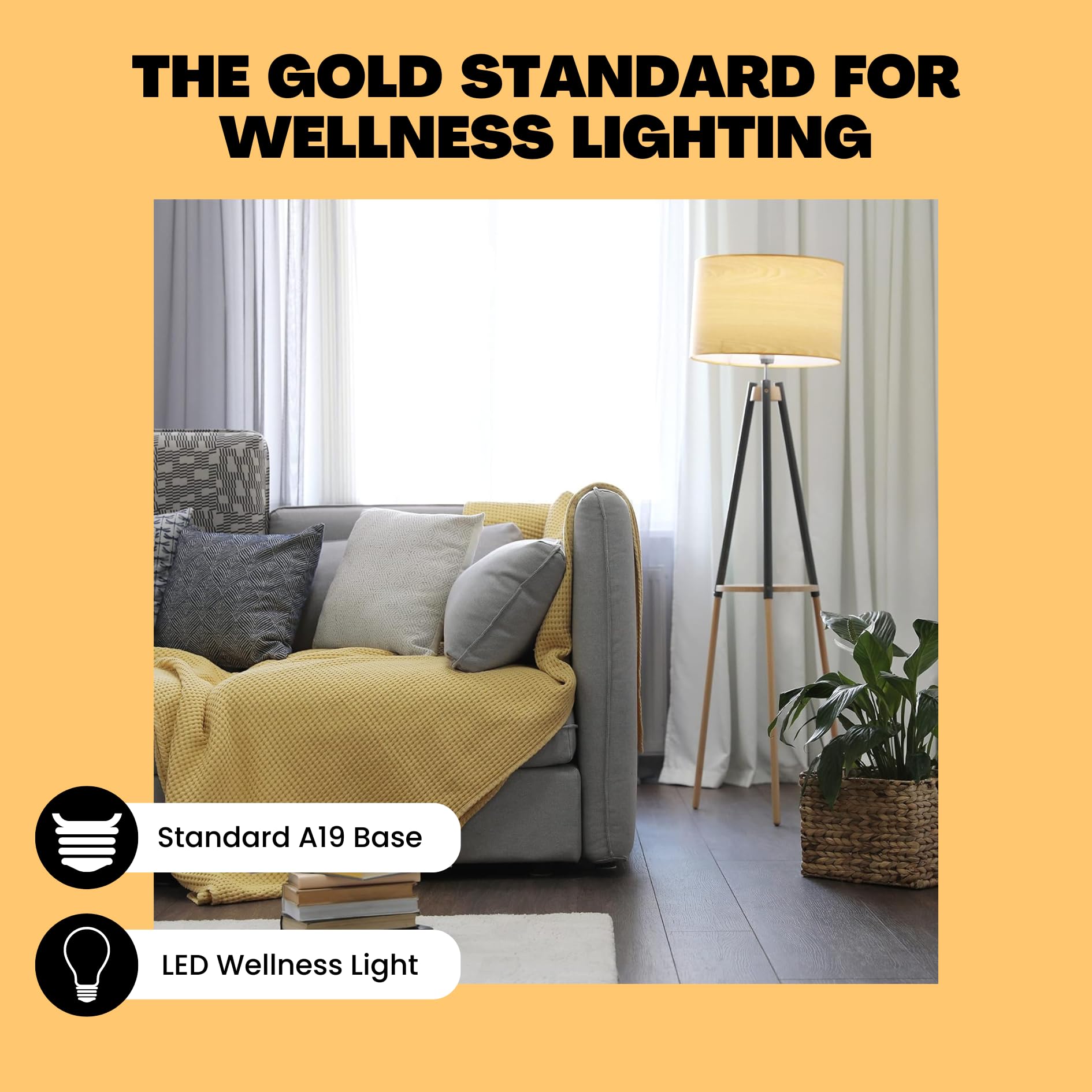 Norbsmile Soft Full Spectrum Light Bulb - Sunlike Softer-Hue A19 Wellness Led. Boost Energy, Mood & Performance, Support Circadi