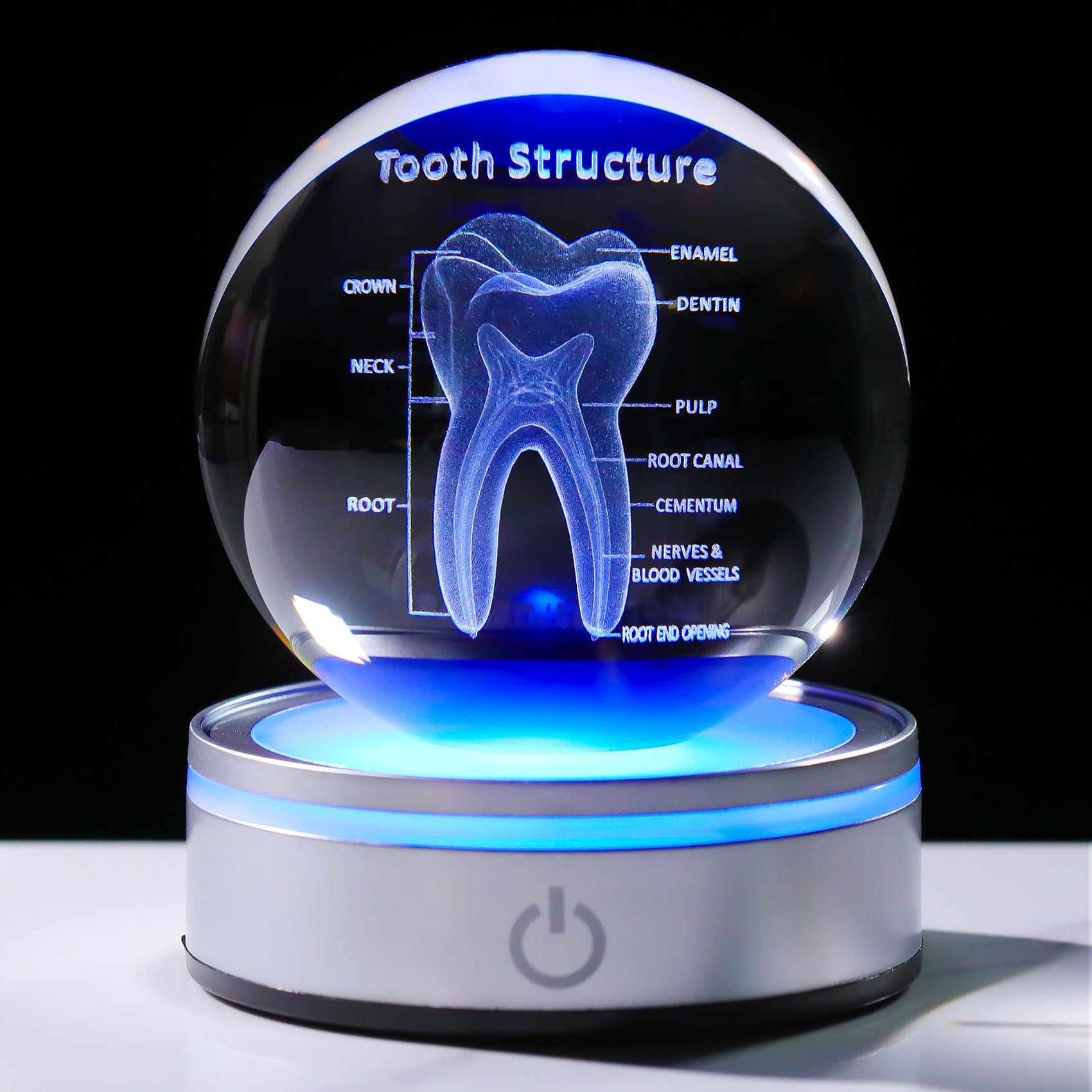 Enjinkail Tooth Model 3D Crystal Ball Dental Gifts For Women Men, Dentist Hygienist Present Office Decor With Led Base, Laser Et
