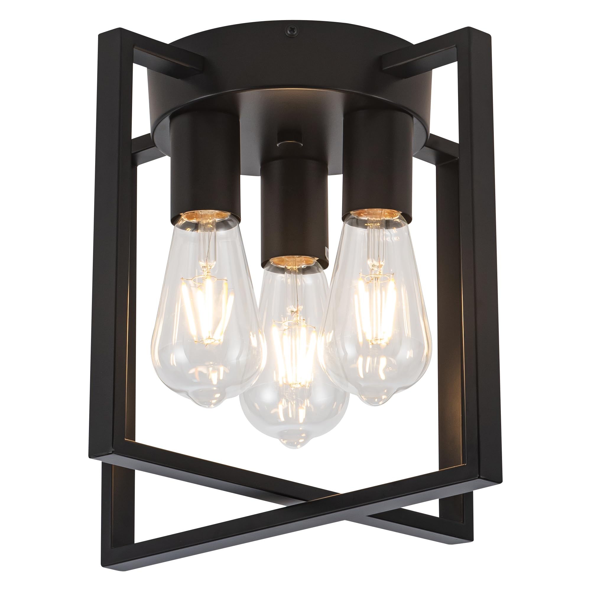 Edzemuwa 3-Light Flush Mount Ceiling Black Metal Frame Ceiling Light Farmhouse Light Fixture for Kitchen Island Entryway Porch F
