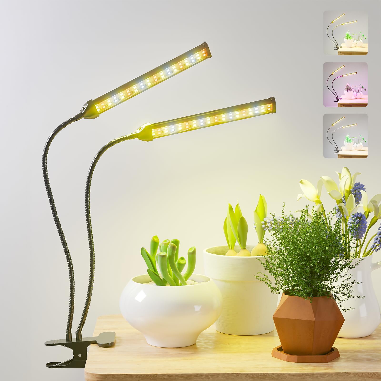 Gooingtop Grow Light Gooseneck Led Lamp,80W 5000K Full Spectrum Plant Lamp Clip-On Desktop For Indoor Small Plants Growing,Timer 4 8 12 18Hrs,Brightness & Color Spectrum Changeable