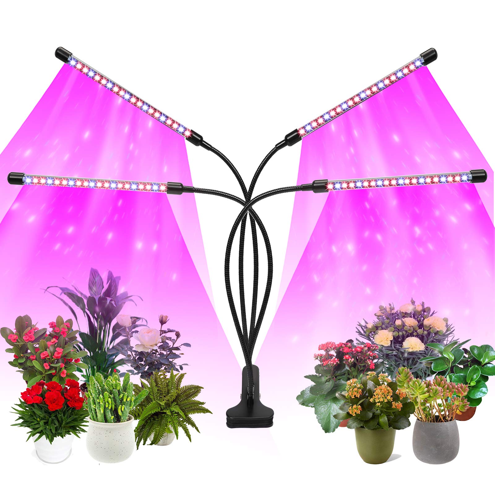 Felibeaco 80W LED Grow Light for Indoor Plants, 4 Head Full Spectrum, Auto Timer, 360° Flexible Gooseneck, Black, Clip Model