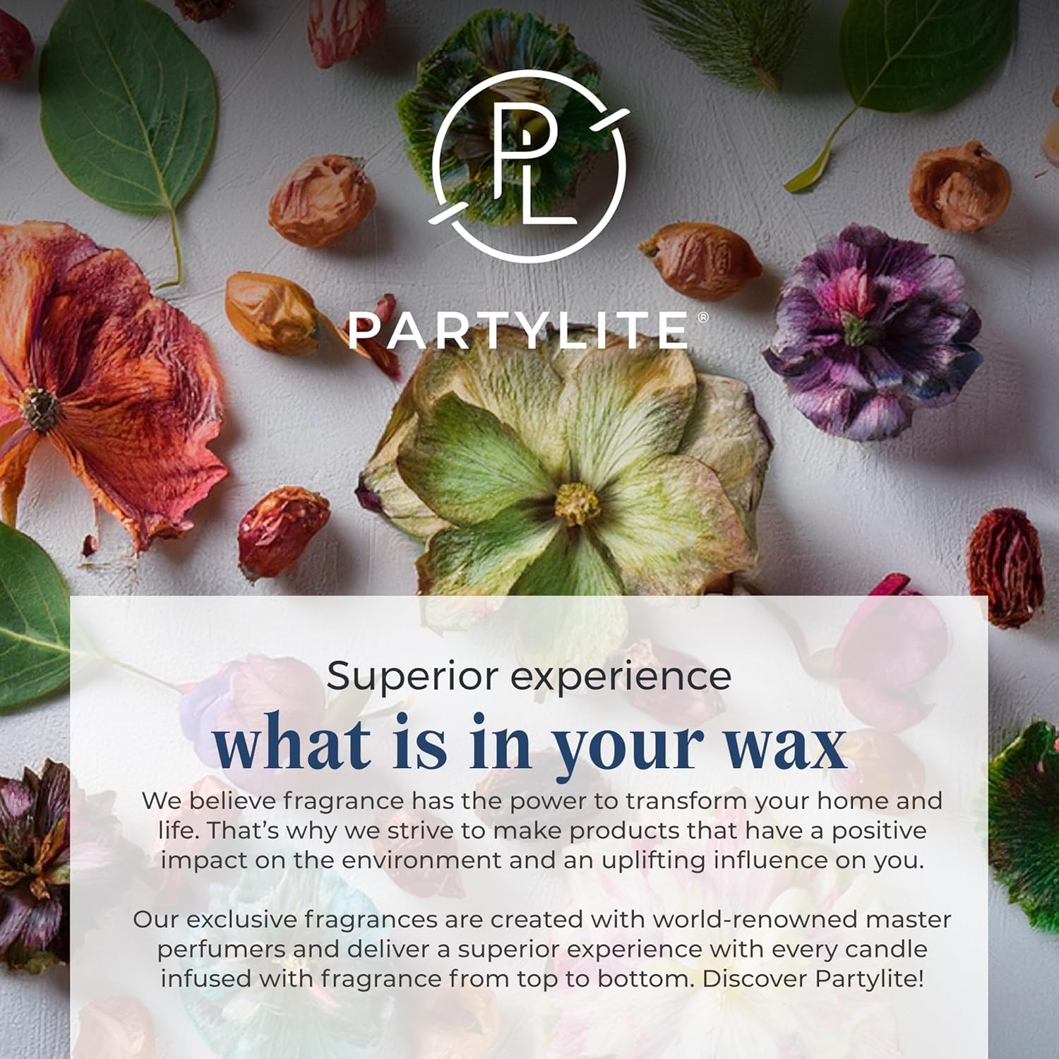 Partylite Gift Set Of 12 Universal Tea Lights  Fig Fatale Scented  Notes Of Apricot  Green Fig  Peach  Mango  Strawberry And Vanilla  4-6 Hour Burn Time  stylish & Rich  Perfect For Gifting