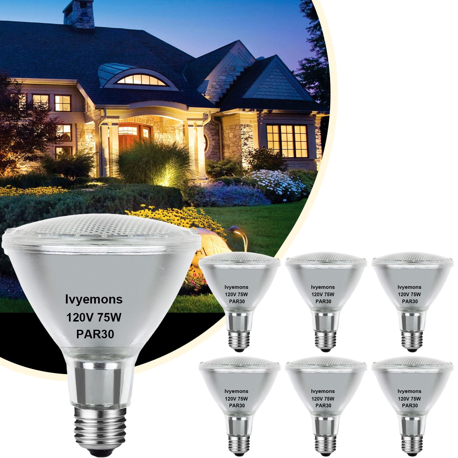 Ivyemons Halogen Par30 Long Neck 75W 120V 800Lm, 6 Pack High Output Halogen Par30 Dimmable 2800K Warm White With E26 Base, Long